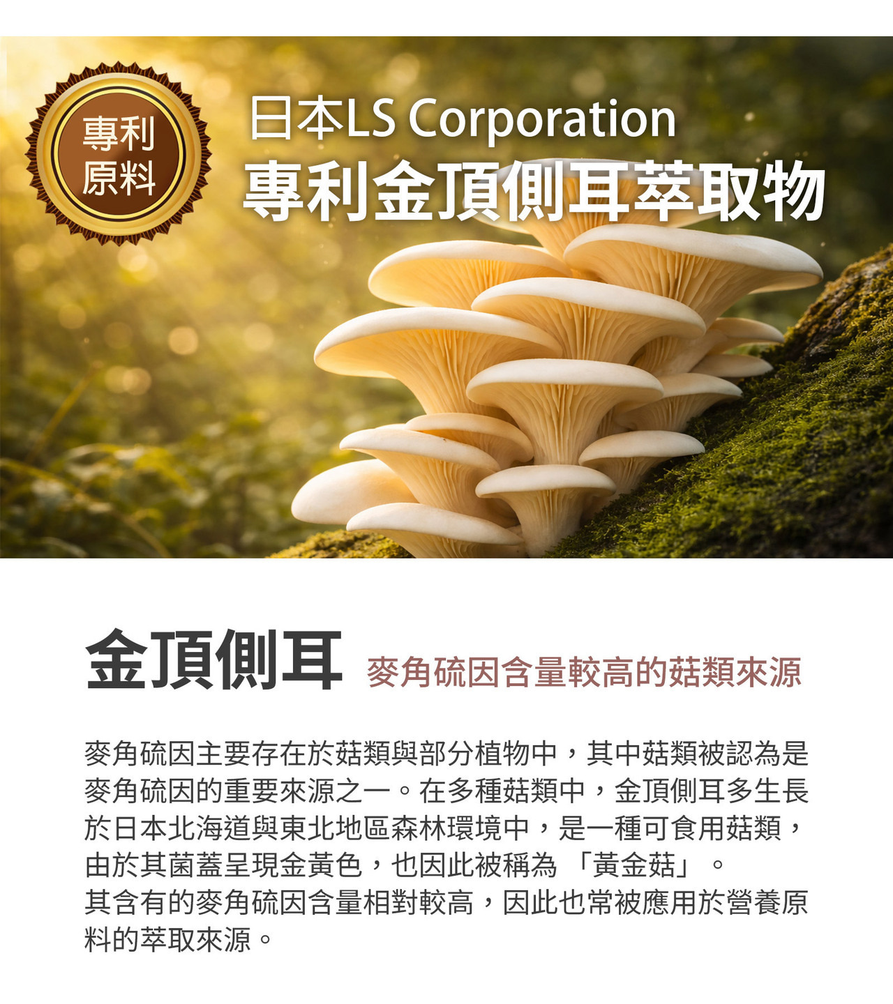 麥角硫因ETG 專利金頂側耳來源 高純度營養成分
