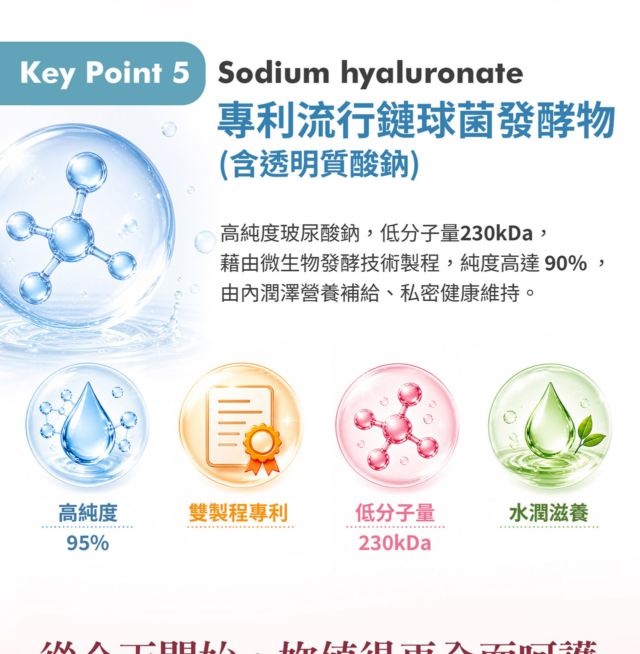 WELLNAILY威納力蔓越莓益生菌