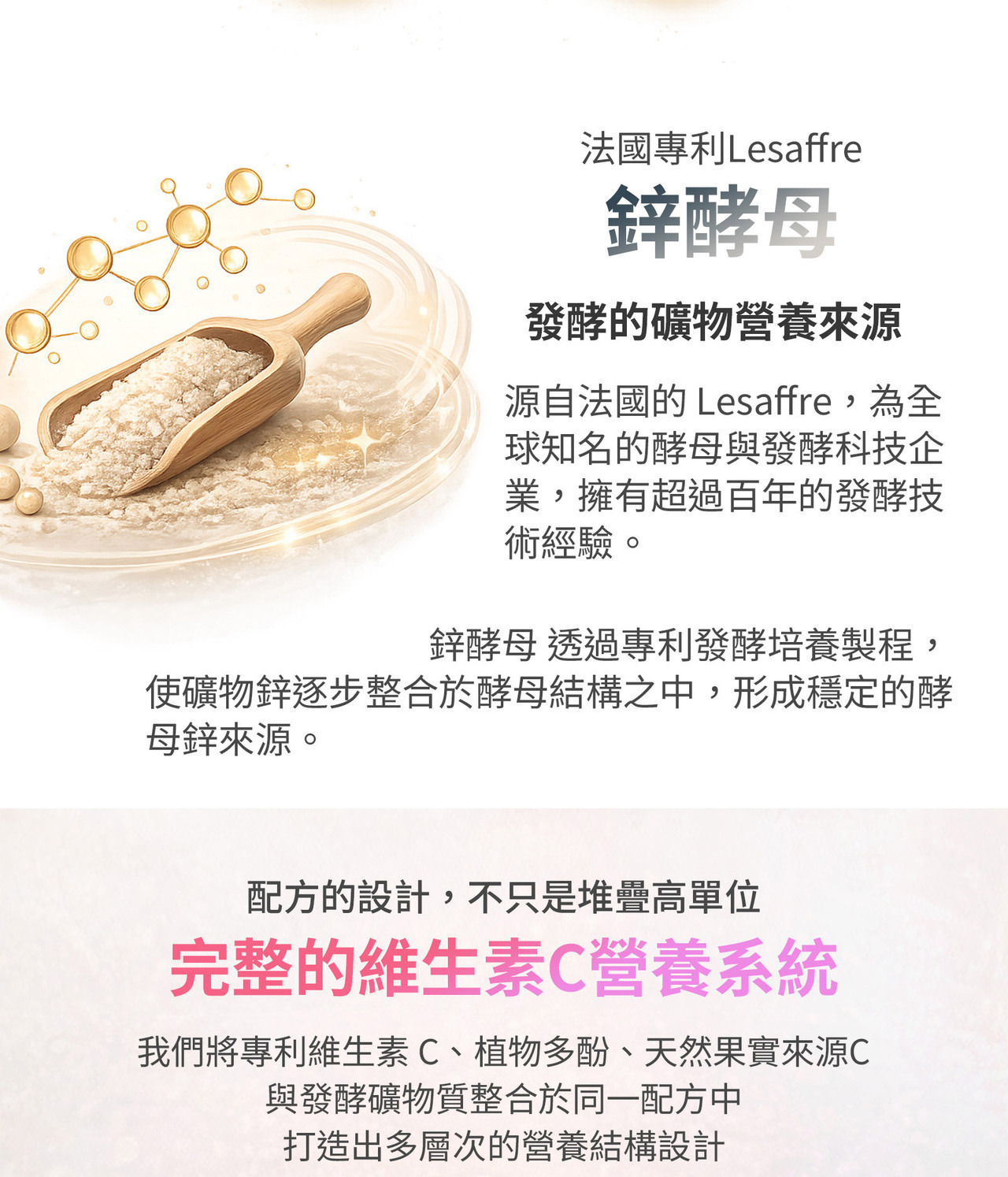 鋅酵母Lesaffre來源與營養角色