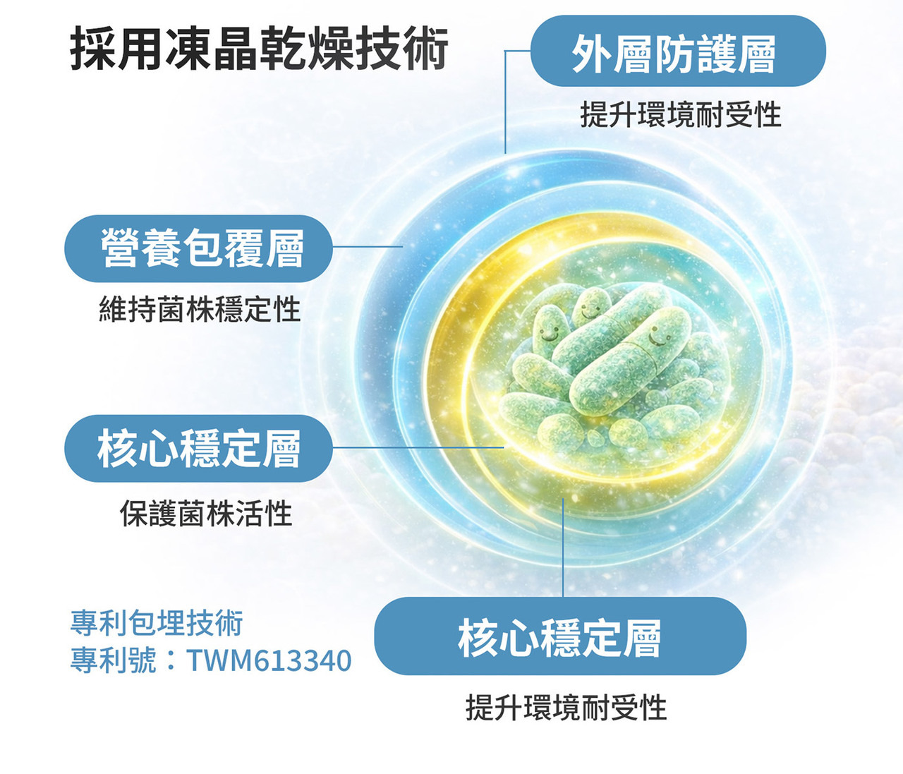 多菌株益生菌配方 植物乳桿菌LPL28與LRH09組合