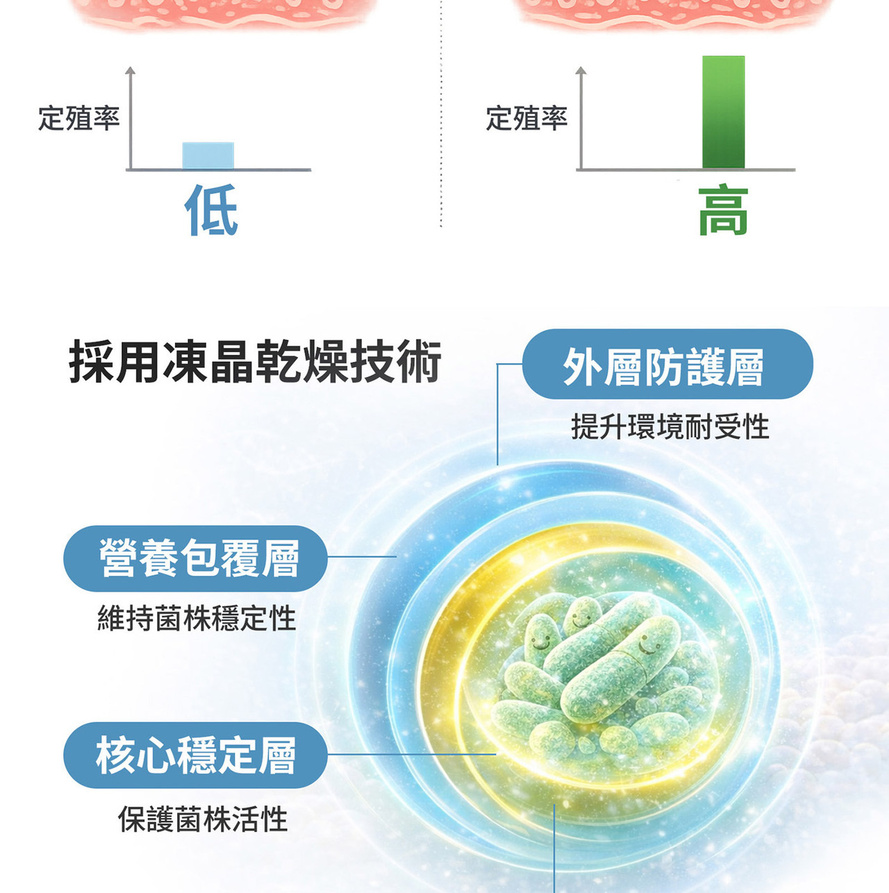 多菌株益生菌配方 植物乳桿菌LPL28與LRH09組合