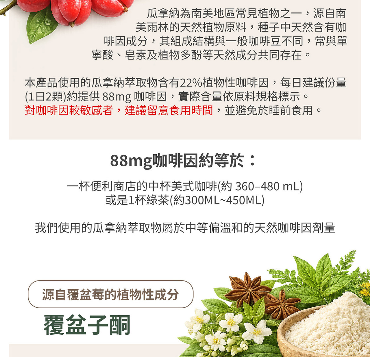 Greenselect 綠茶萃取物 Phytosome 技術來源與特色圖