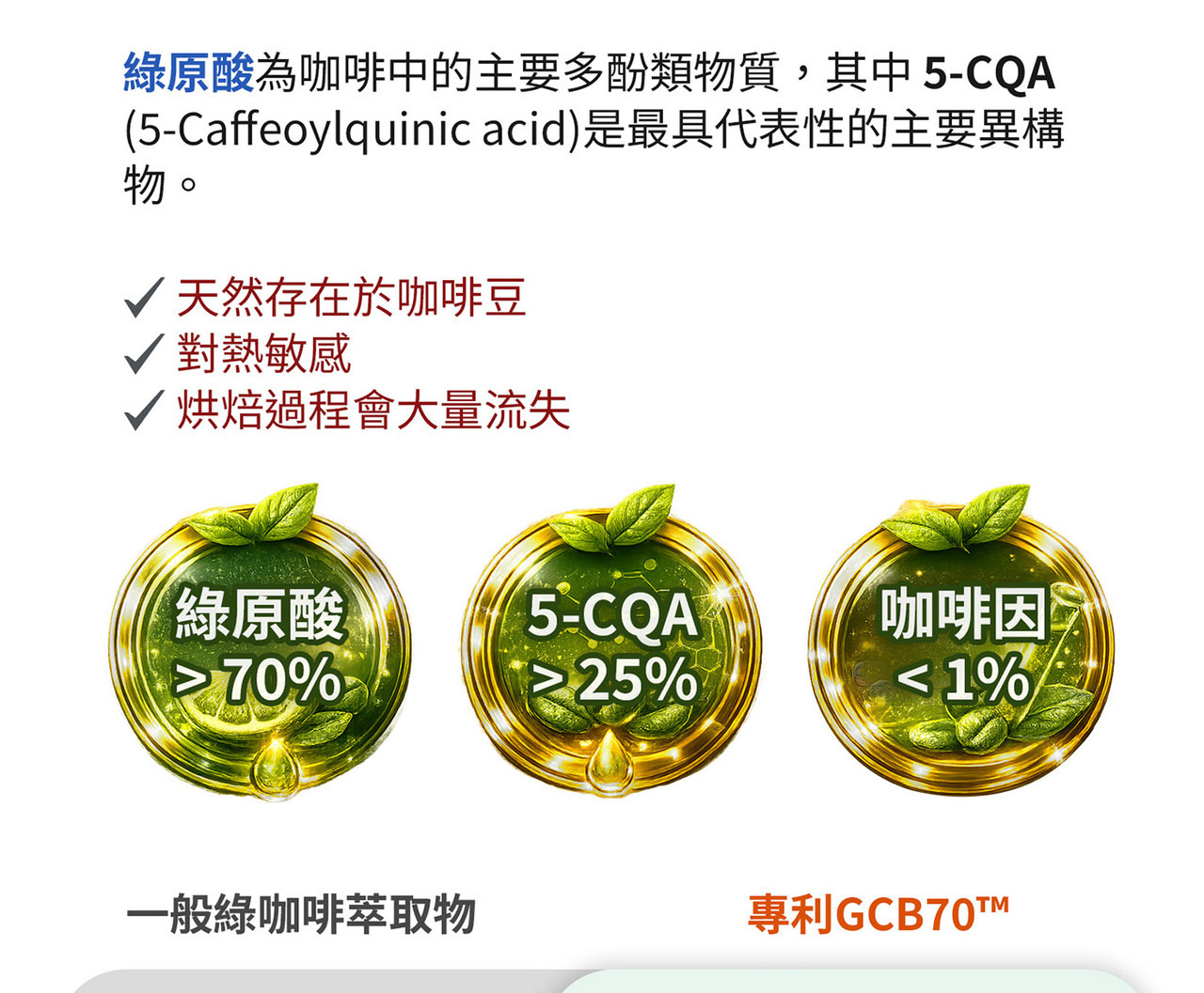 Greenselect 綠茶萃取物 Phytosome 技術來源與特色圖