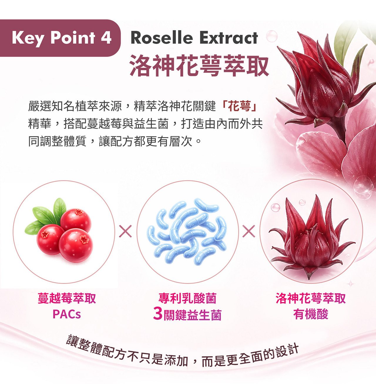 WELLNAILY威納力蔓越莓益生菌