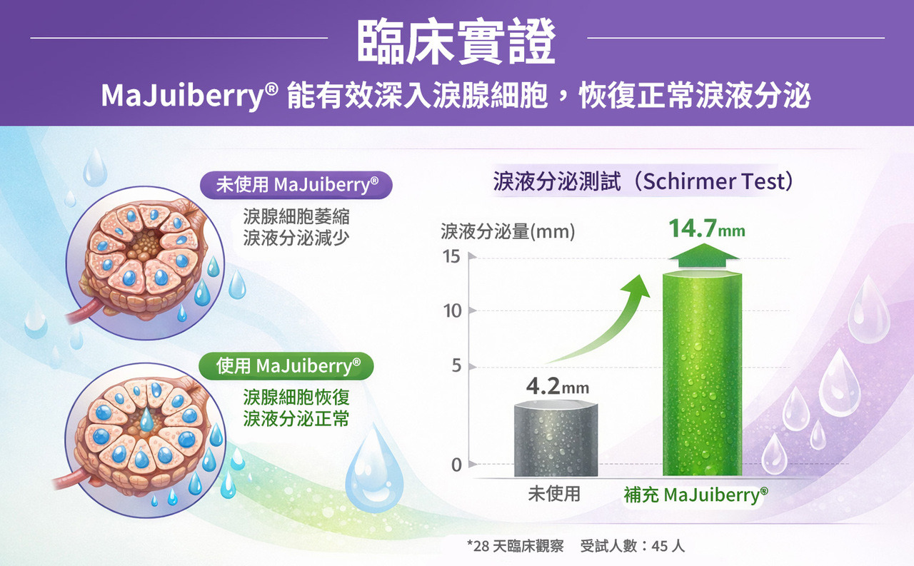MaJuiberry 淚液實驗數據
