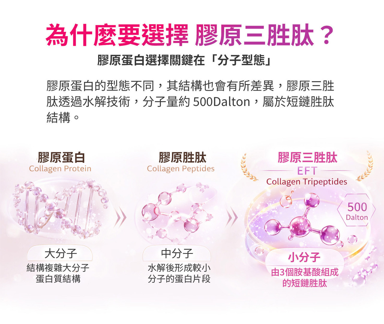 魚膠原蛋白三胜肽 分子量500 小分子營養補給設計