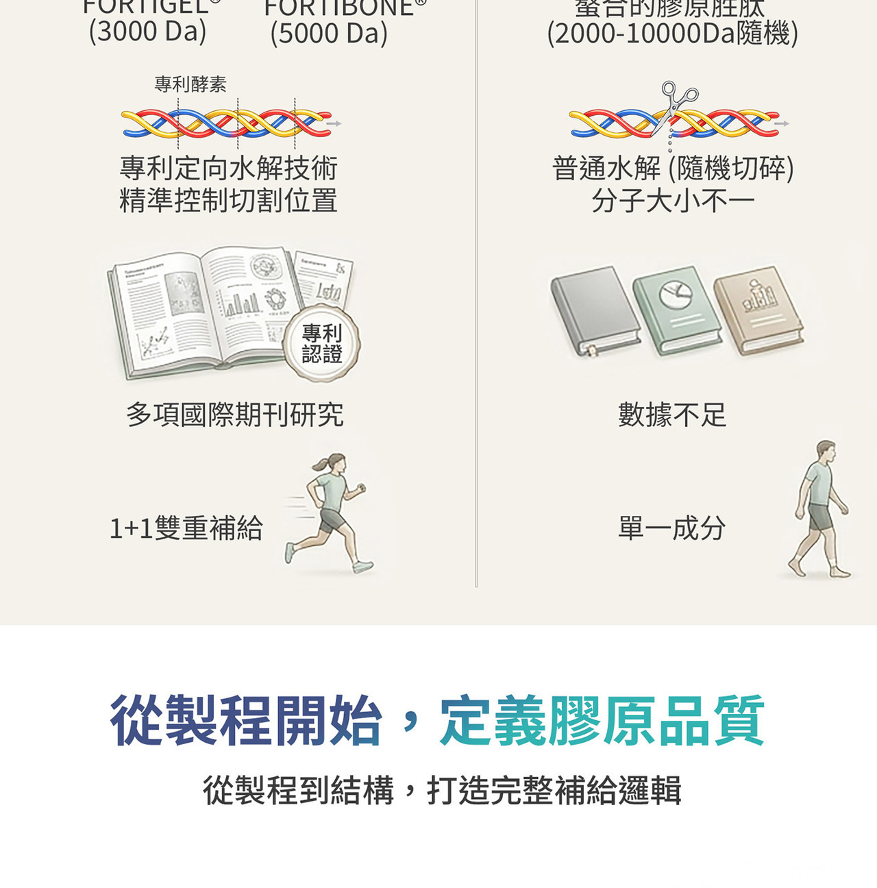 膠原蛋白與營養補給概念圖｜結構與型態差異說明