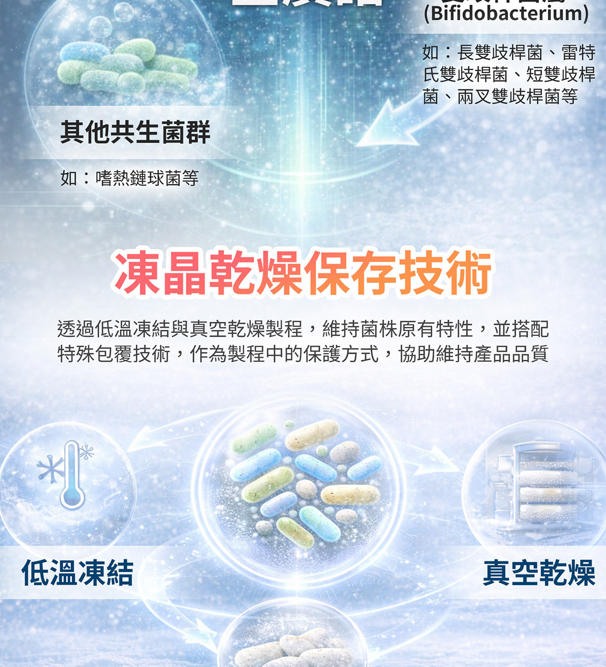 舒敏益生菌粉包 多菌株與益生質結構型營養設計