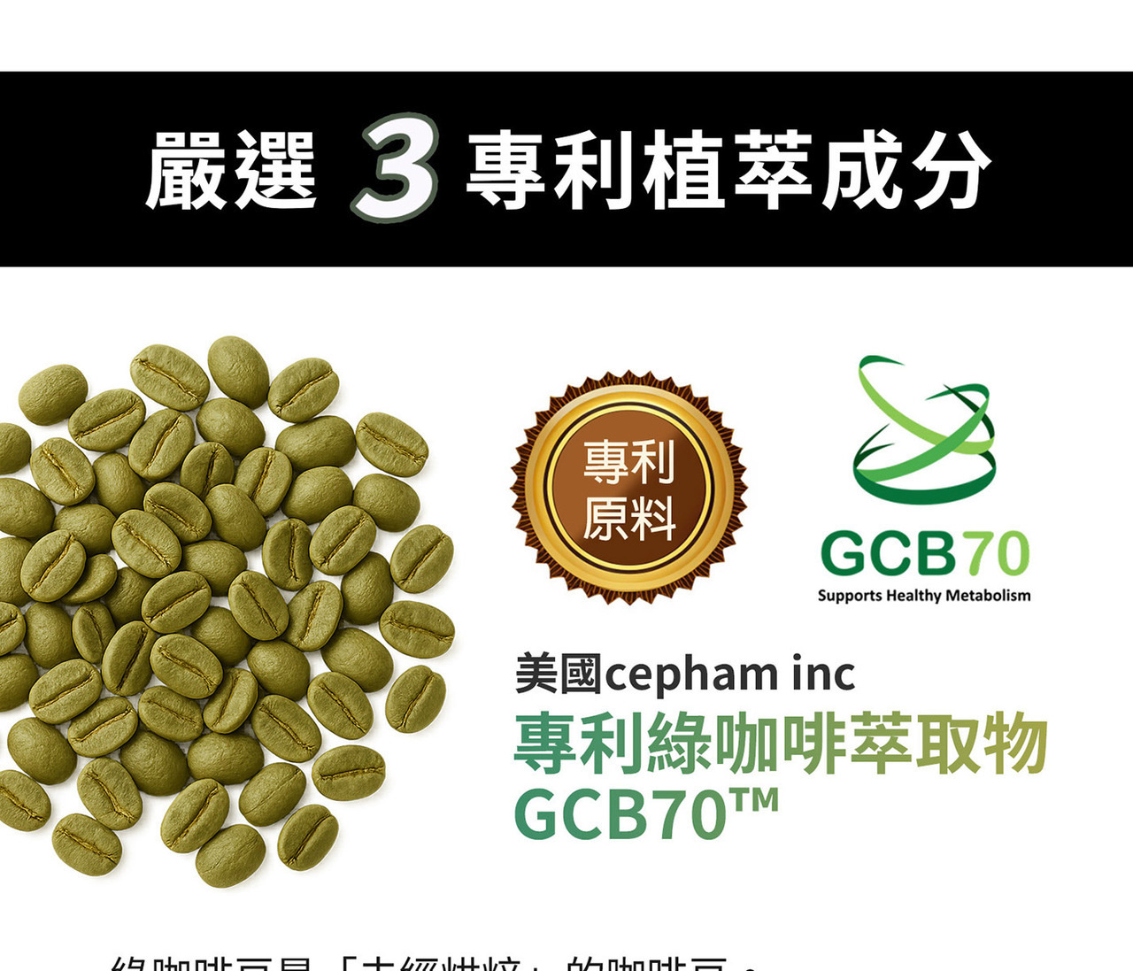 綠咖啡GCB70萃取70%綠原酸 植物多酚來源