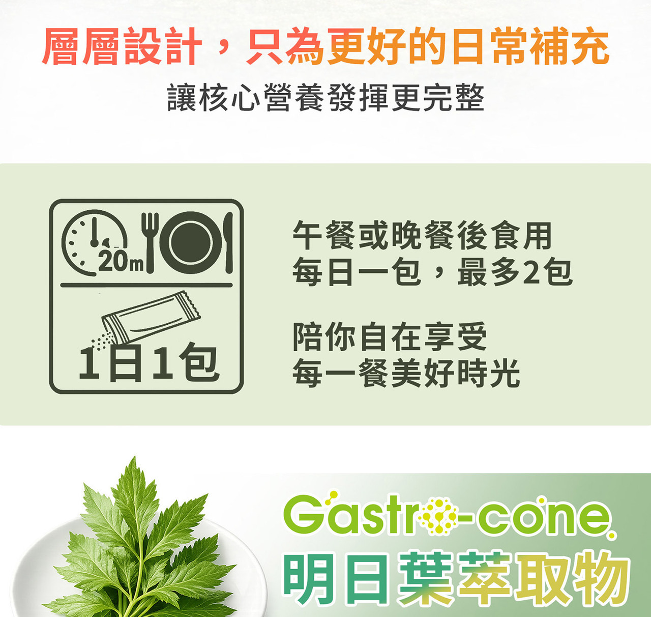 日本明日葉萃取物與植物葉片細節