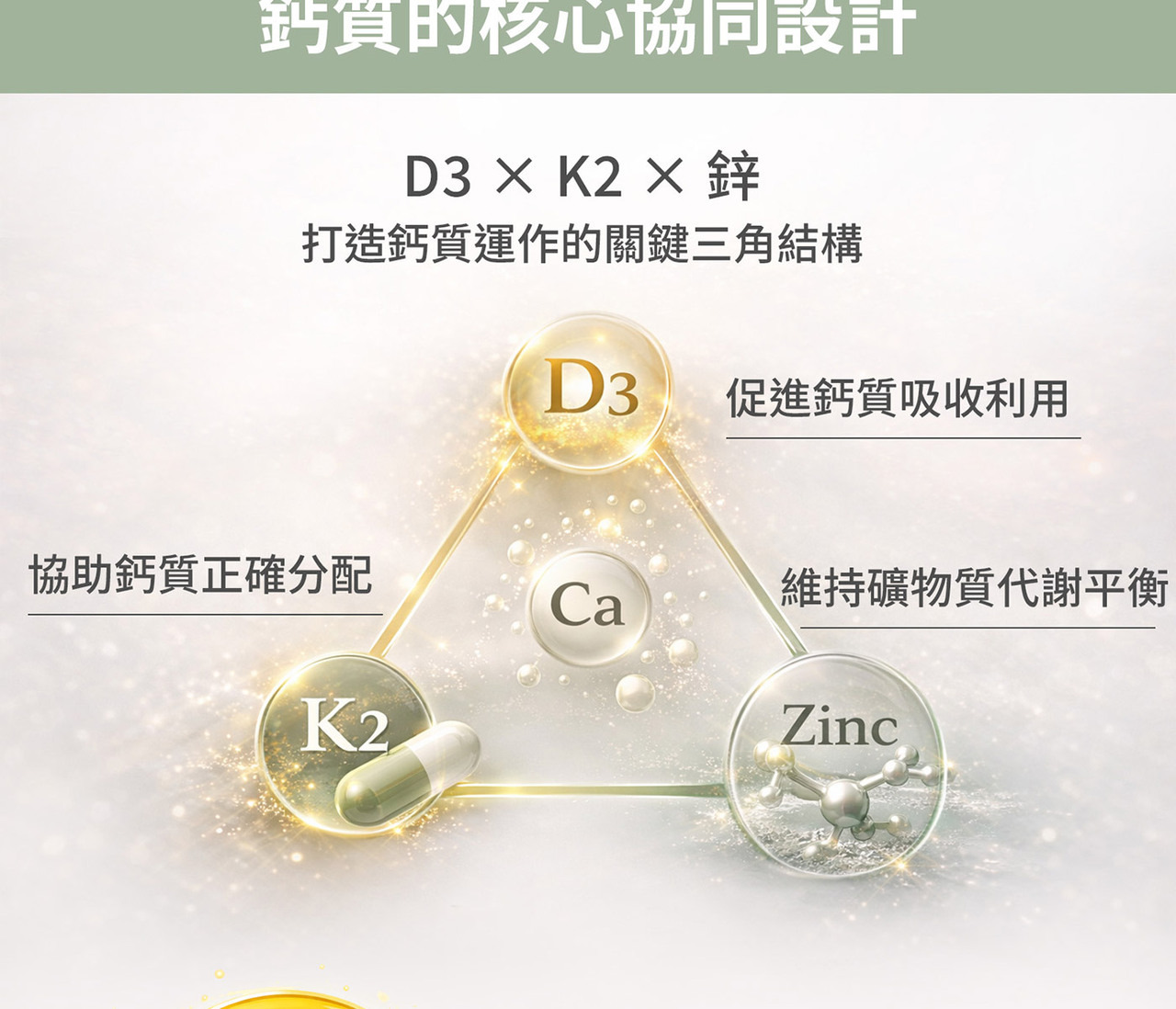維生素D3與K2營養組合｜多層次補給概念