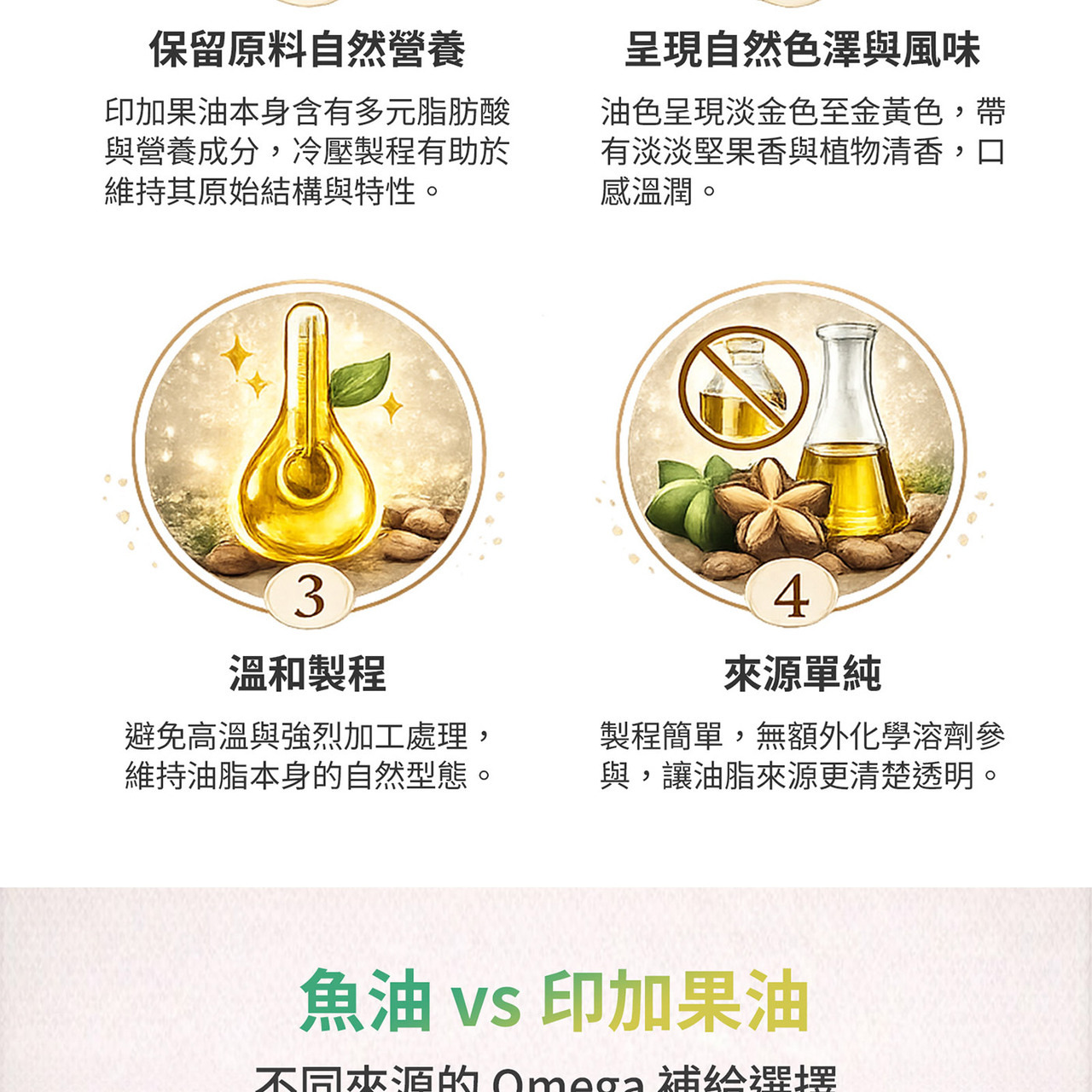 冷壓初榨印加果油製程流程圖