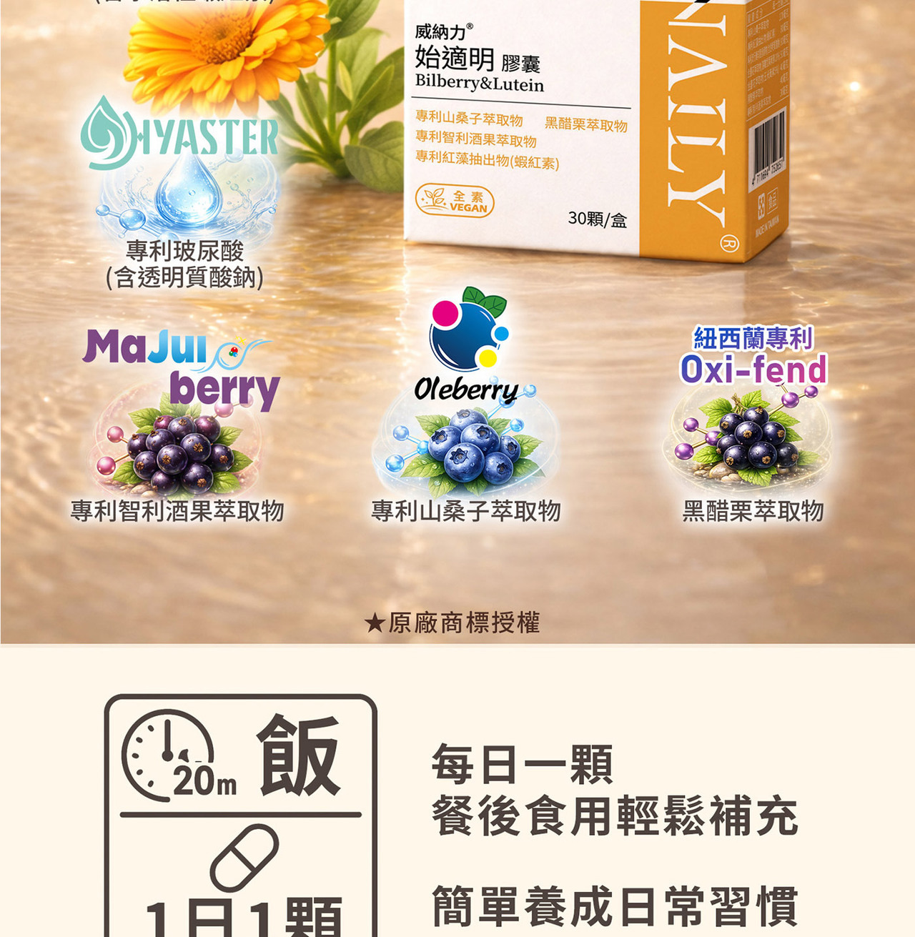 葉黃素玉米黃素複方配方設計說明