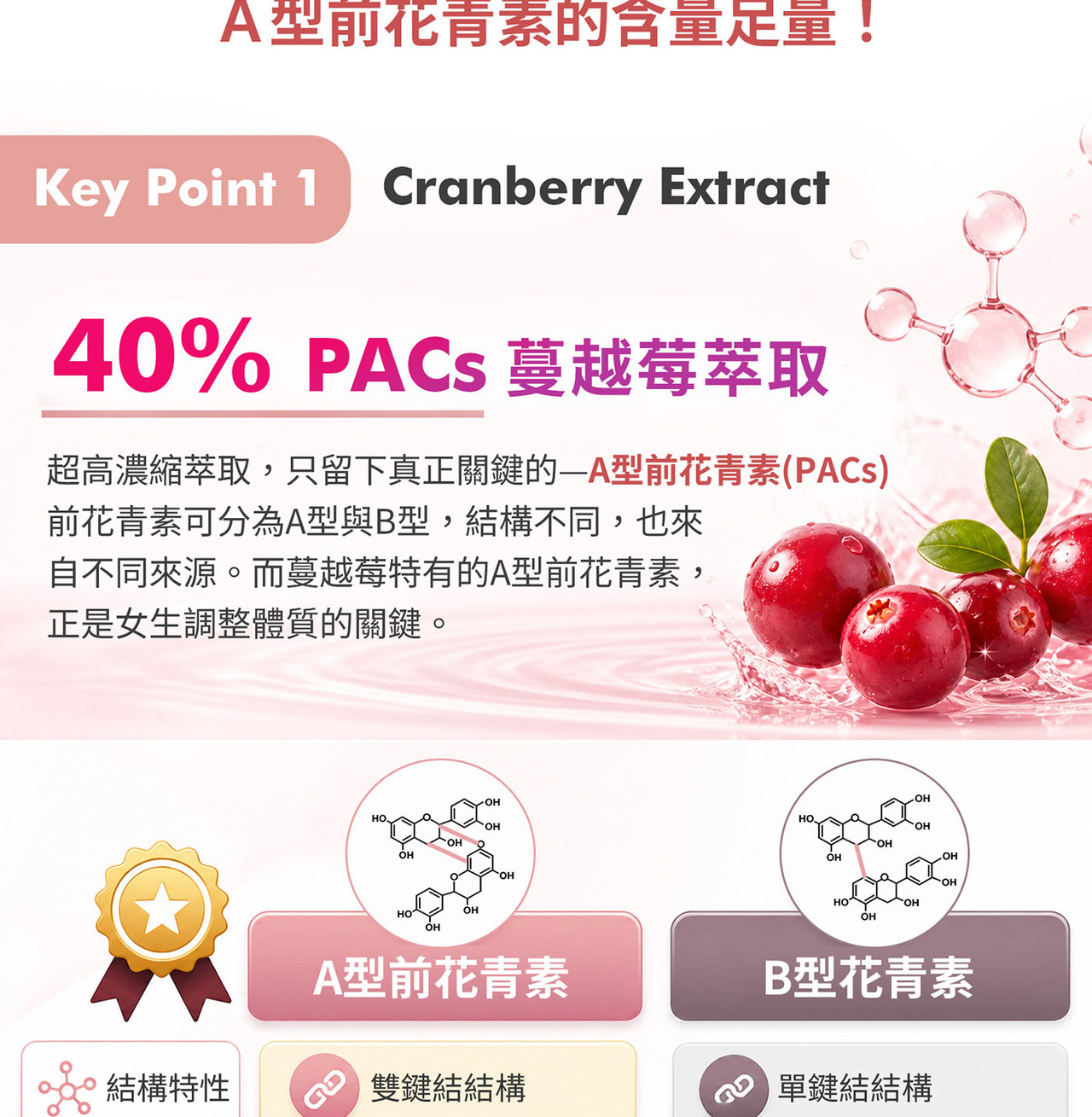 WELLNAILY威納力蔓越莓益生菌