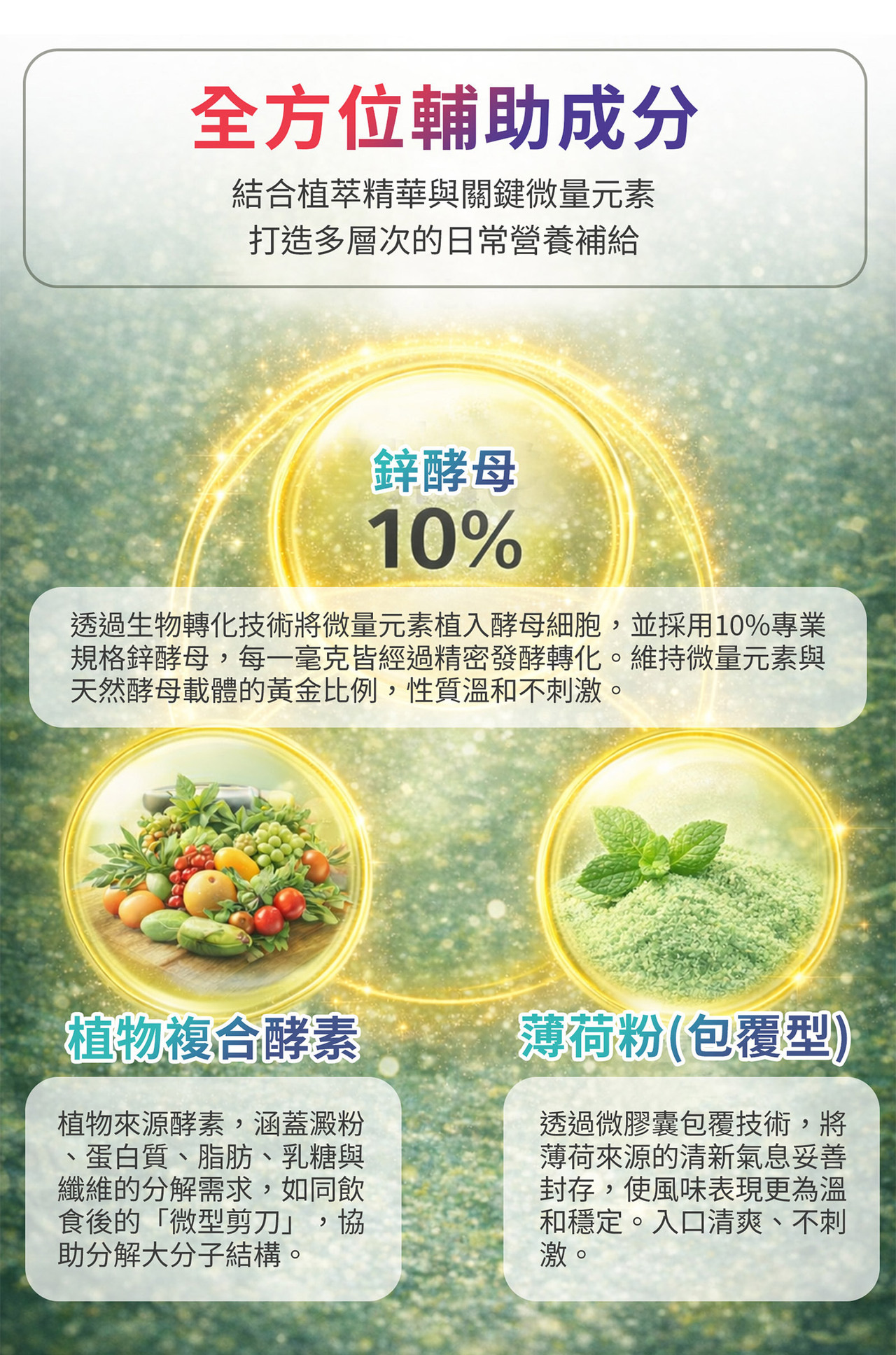 植物複合酵素分解機制示意圖