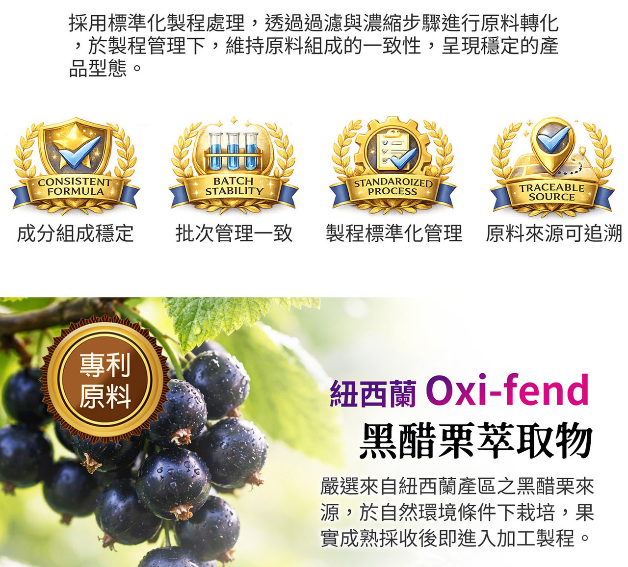 山桑子黑醋栗智利酒果三大莓果配方