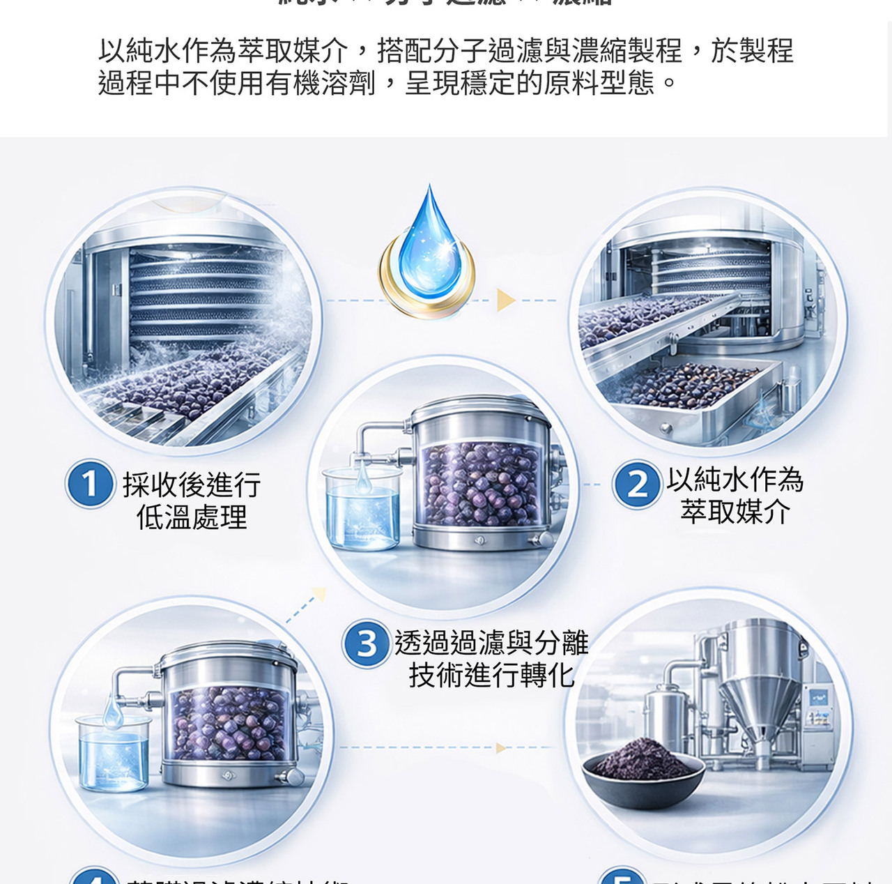 山桑子黑醋栗智利酒果三大莓果配方