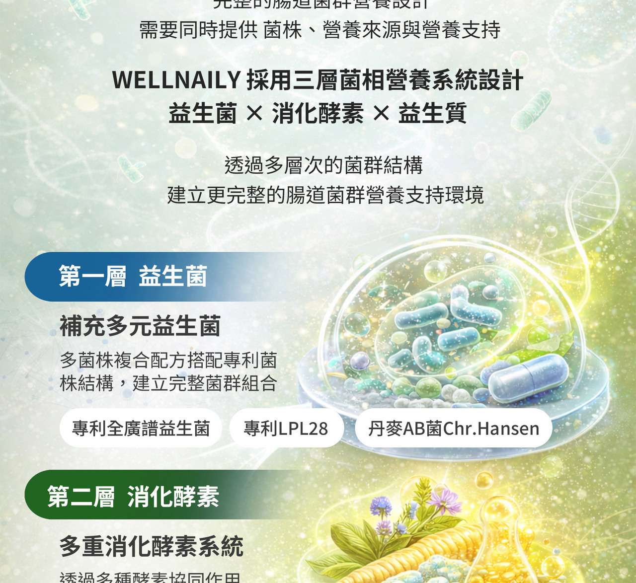 木瓜酵素澱粉酵素解脂酵素介紹