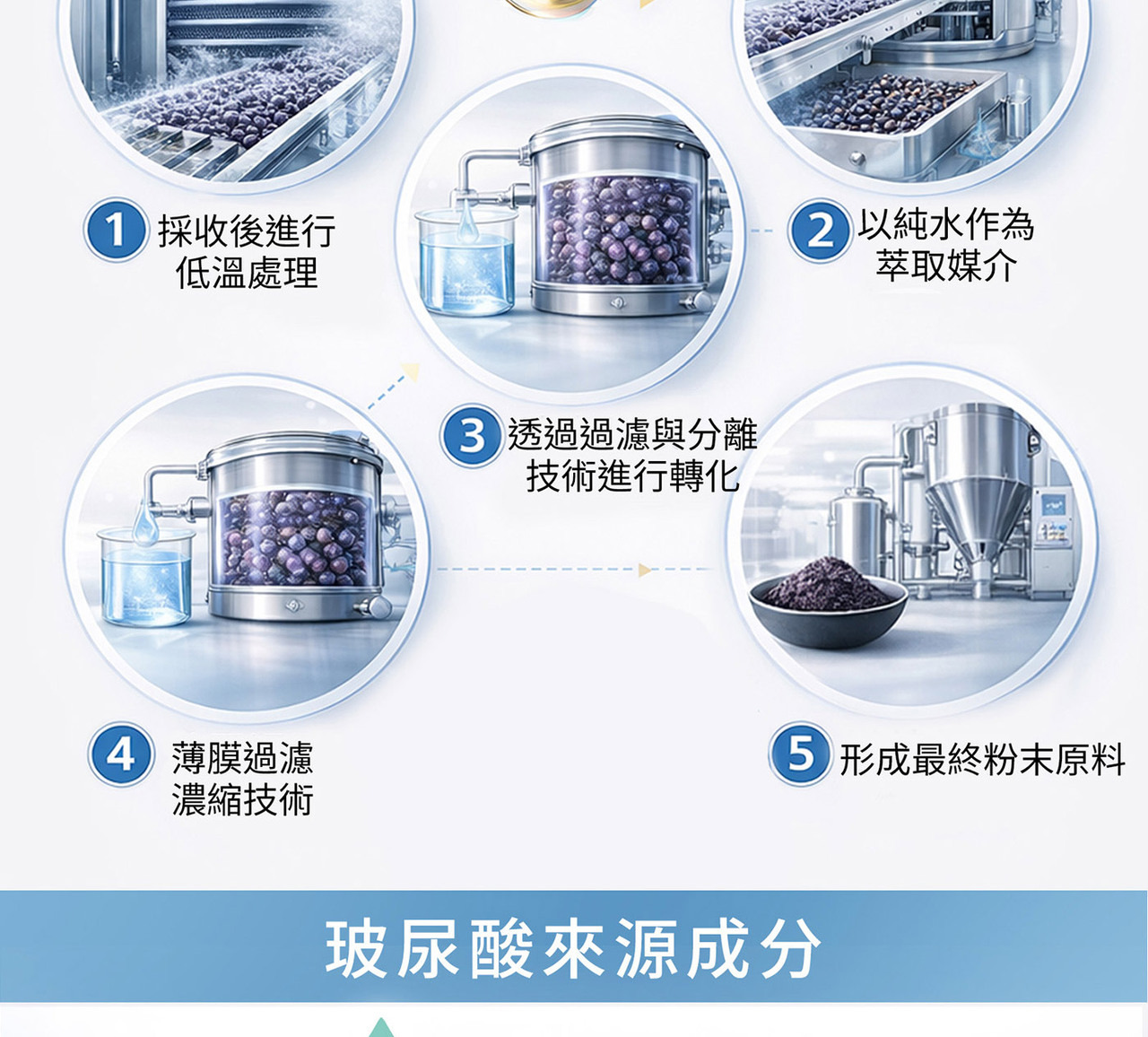 山桑子黑醋栗智利酒果三大莓果配方