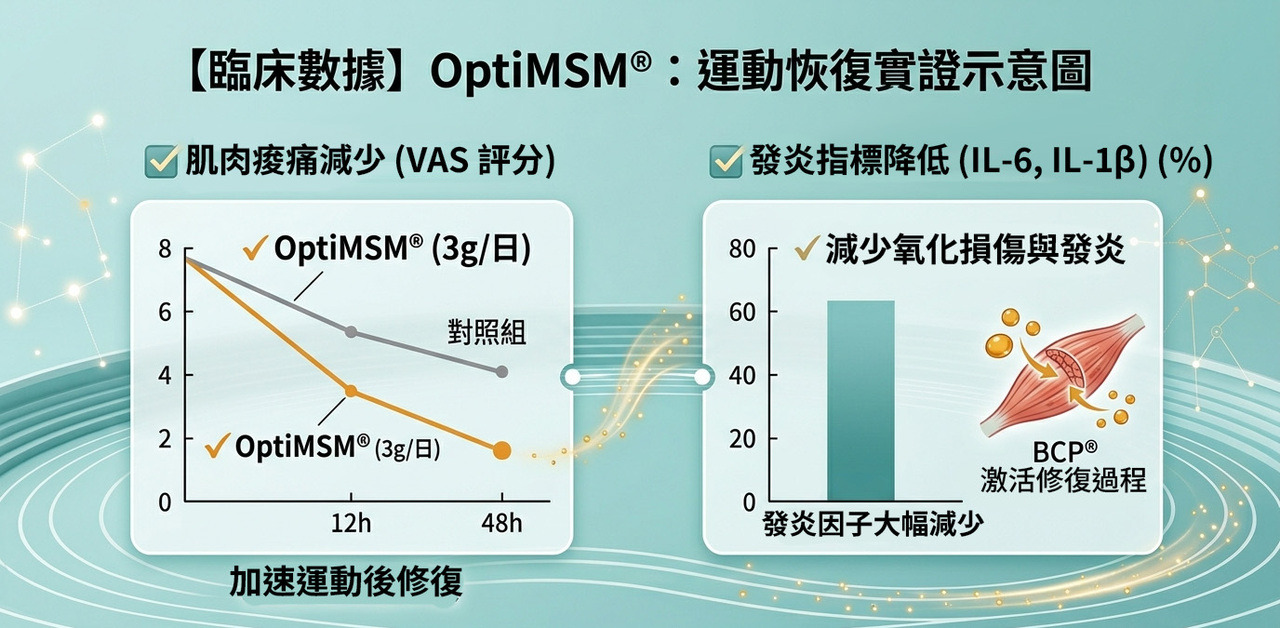 OptiMSM 運動恢復數據圖