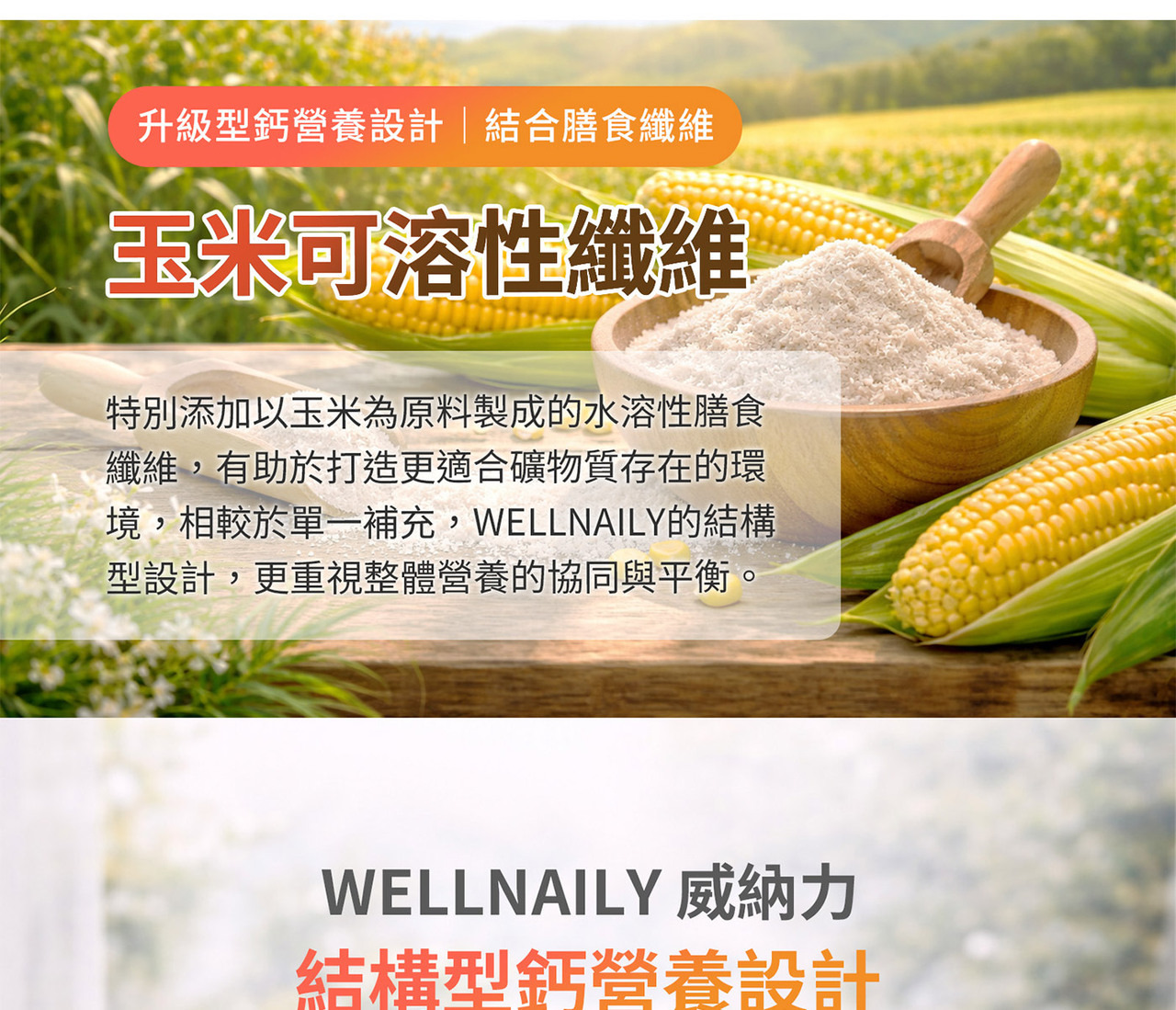 專利玉米來源可溶性纖維｜膳食纖維補充