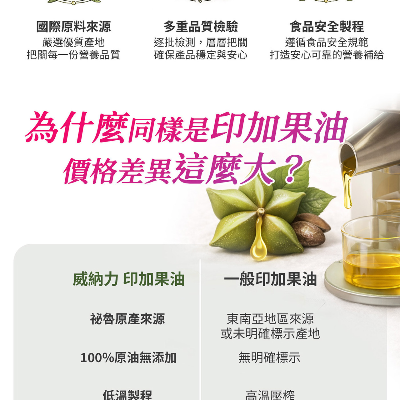 多元脂肪酸 Omega 3 6 9 比例視覺圖