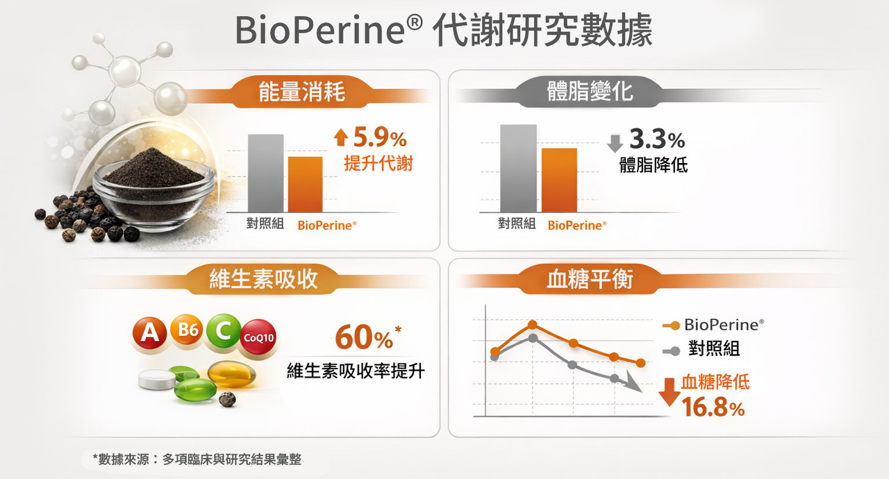 BioPerine 代謝研究數據