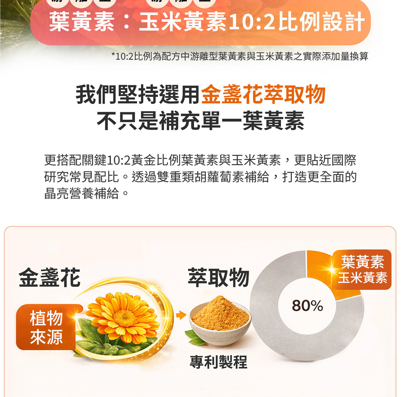金盞花萃取物葉黃素與玉米黃素來源