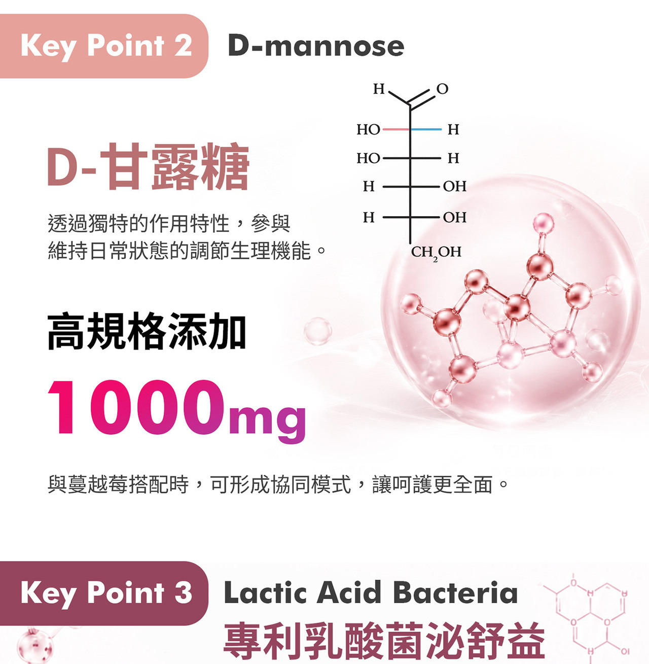 WELLNAILY威納力蔓越莓益生菌