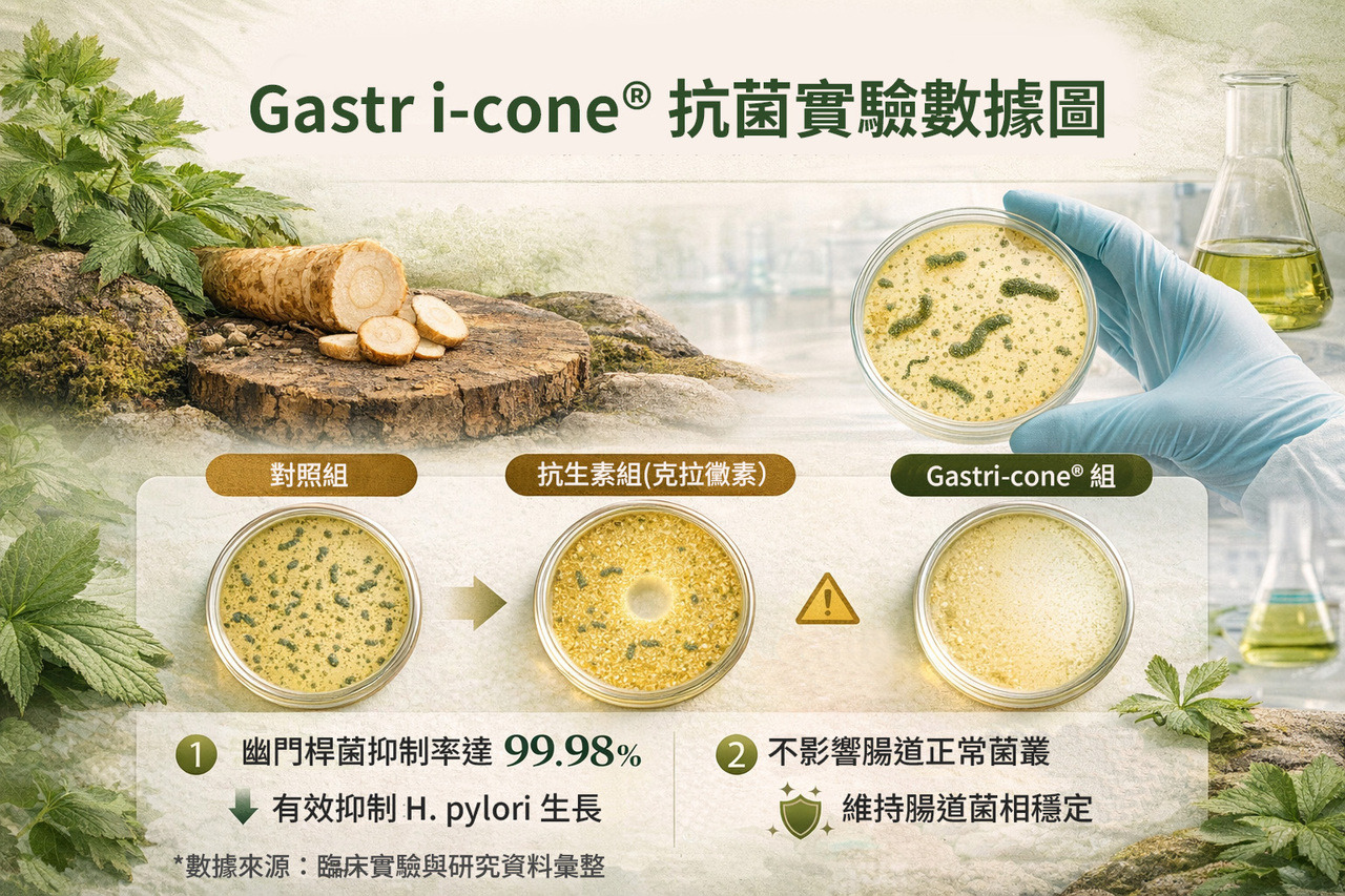 Gastri-cone 抗菌實驗數據圖