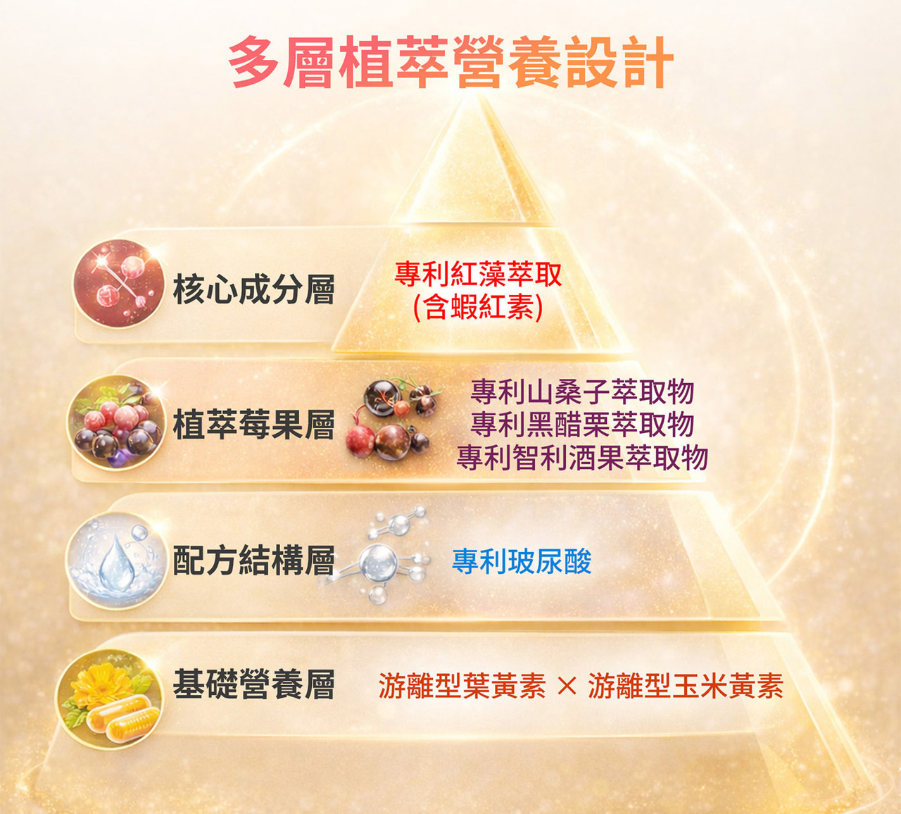 WELLNAILY威納力晶亮營養產品介紹