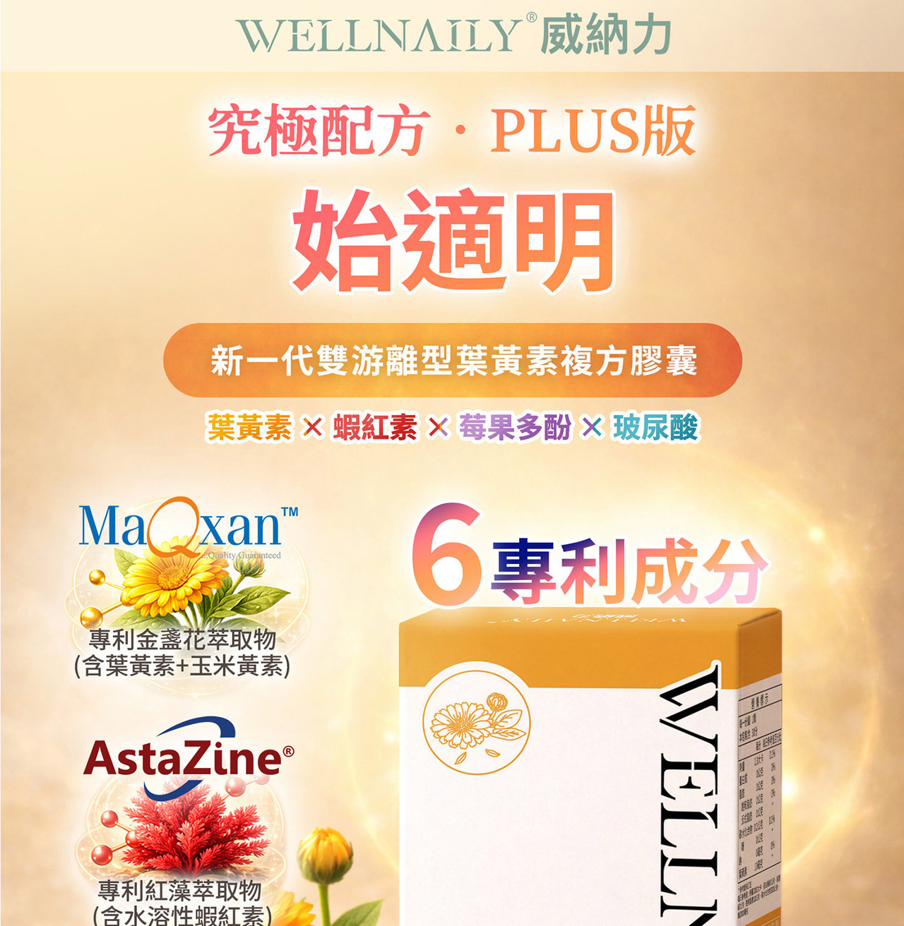 葉黃素玉米黃素複方配方設計說明