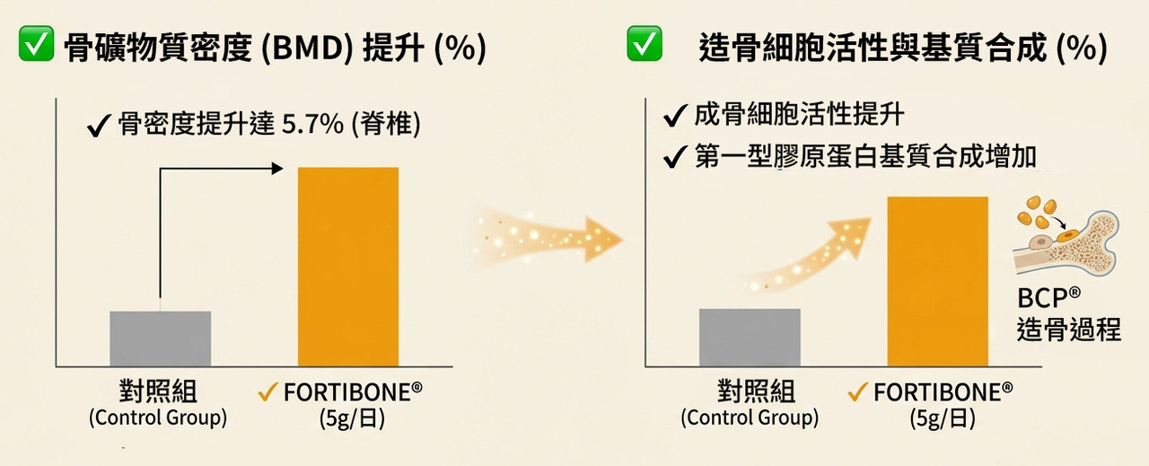 FORTIBONE 骨密度與基質合成臨床數據圖
