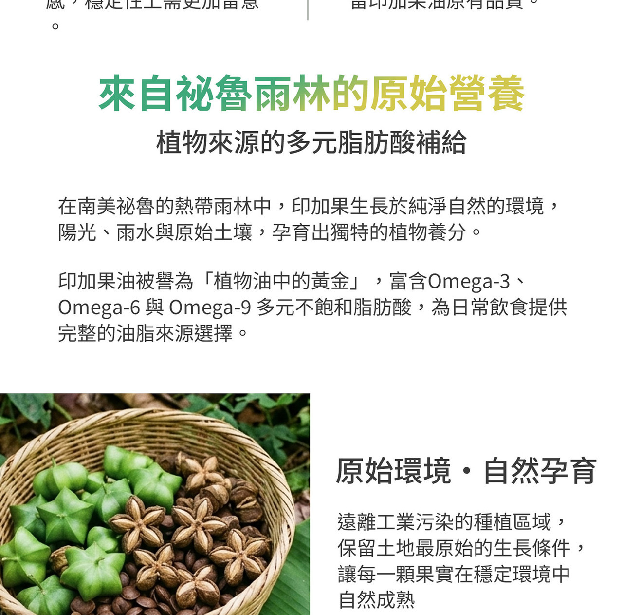 印加果果實與種子來源情境圖