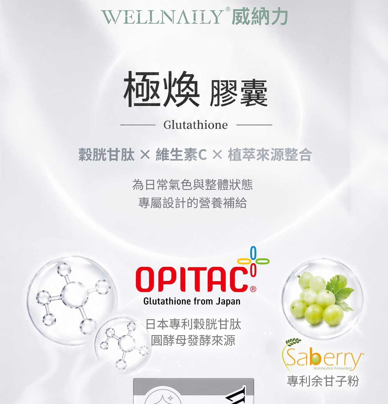 威納力 極煥膠囊