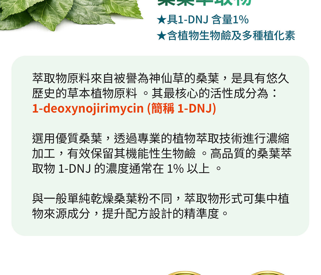 桑葉萃取物1% 多重植萃營養補給