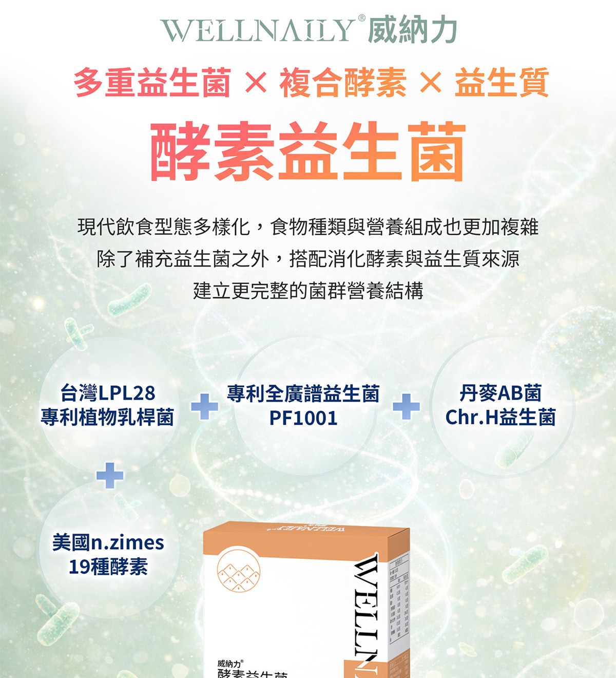 WELLNAILY威納力酵素益生菌複方設計結構圖