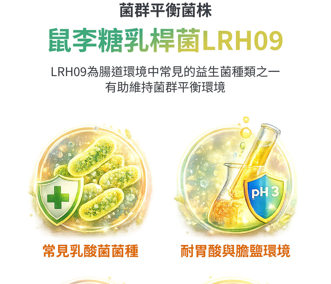 多菌株益生菌配方 植物乳桿菌LPL28與LRH09組合