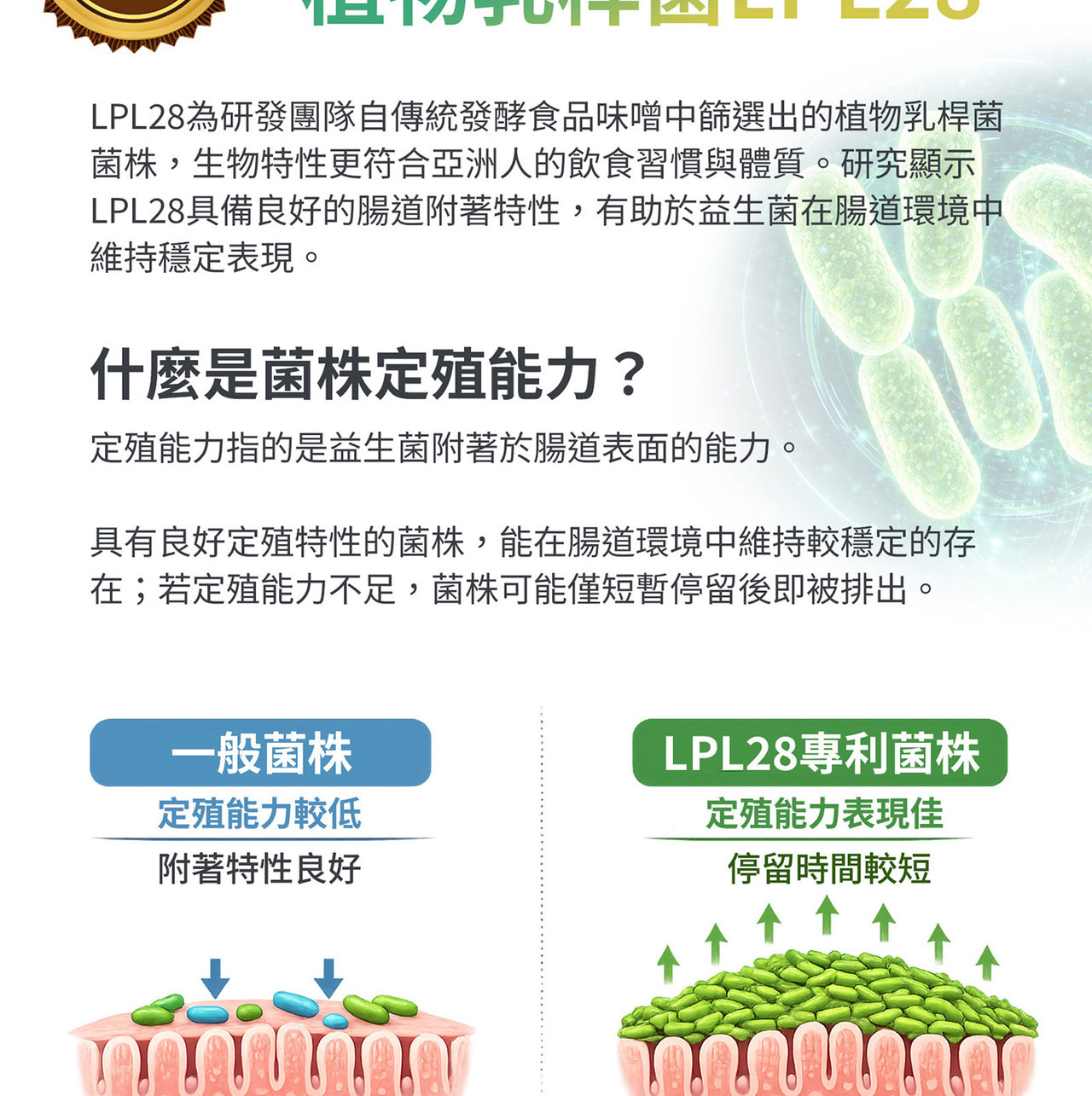 多菌株益生菌配方 植物乳桿菌LPL28與LRH09組合