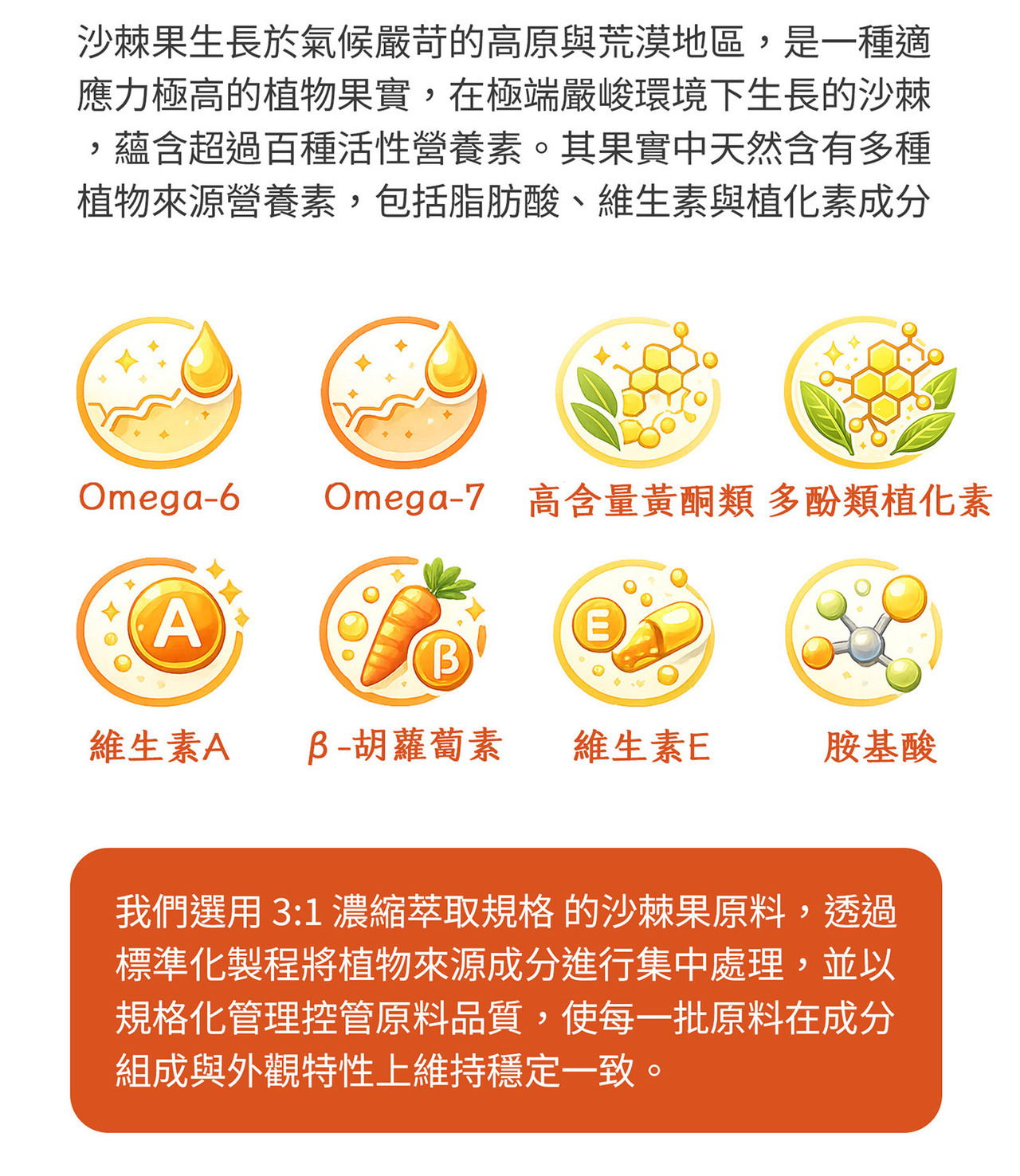 沙棘果萃取物原料與橘色果實近拍