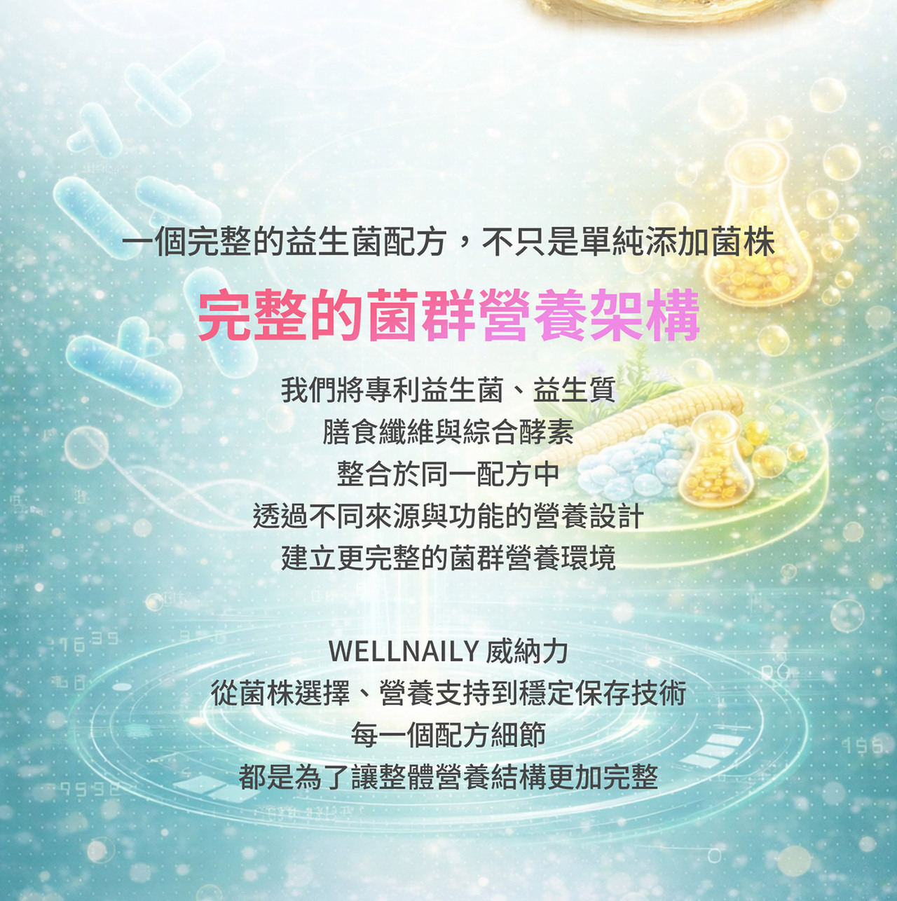 可溶性膳食纖維與菊苣纖維 多重纖維營養設計