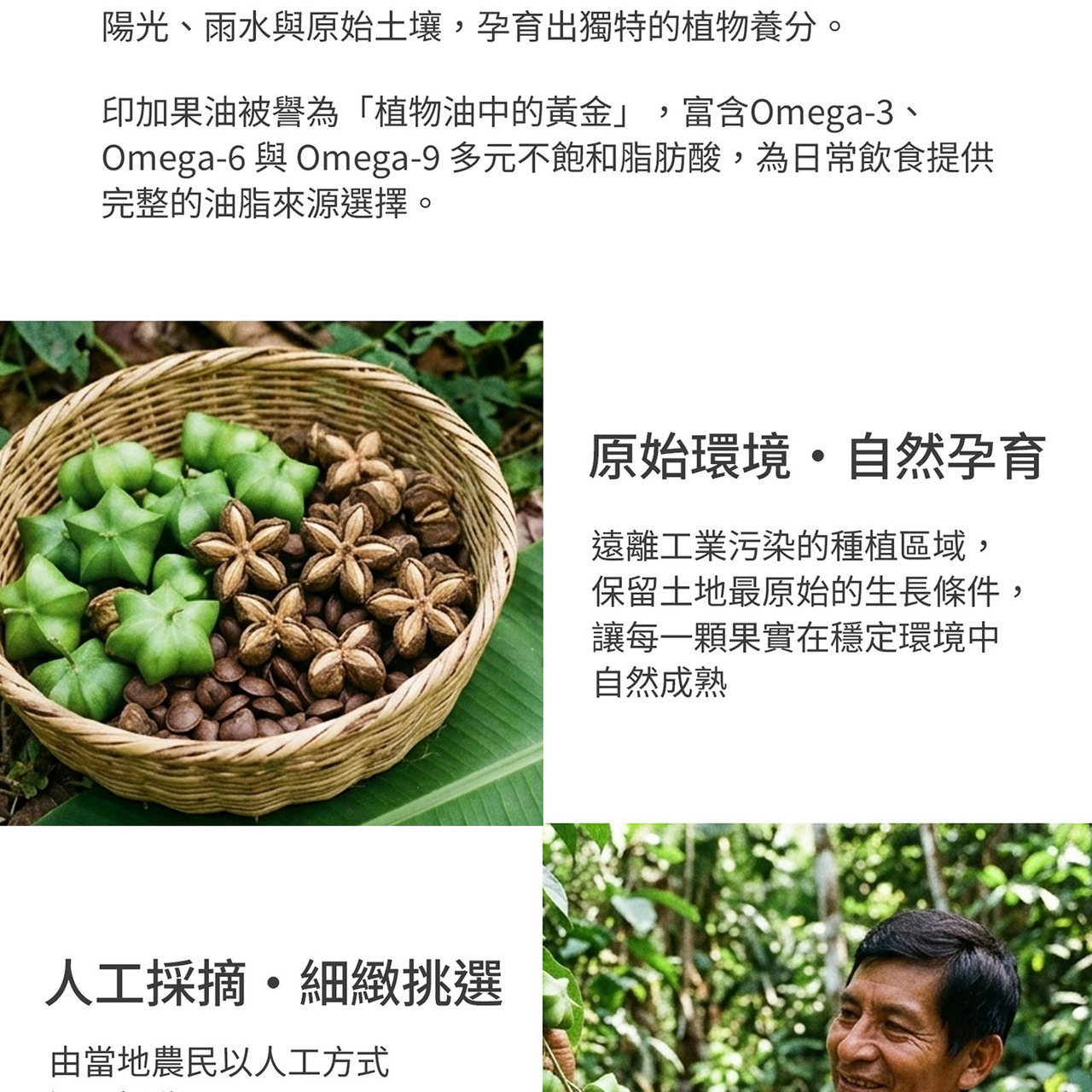 印加果果實與種子來源情境圖
