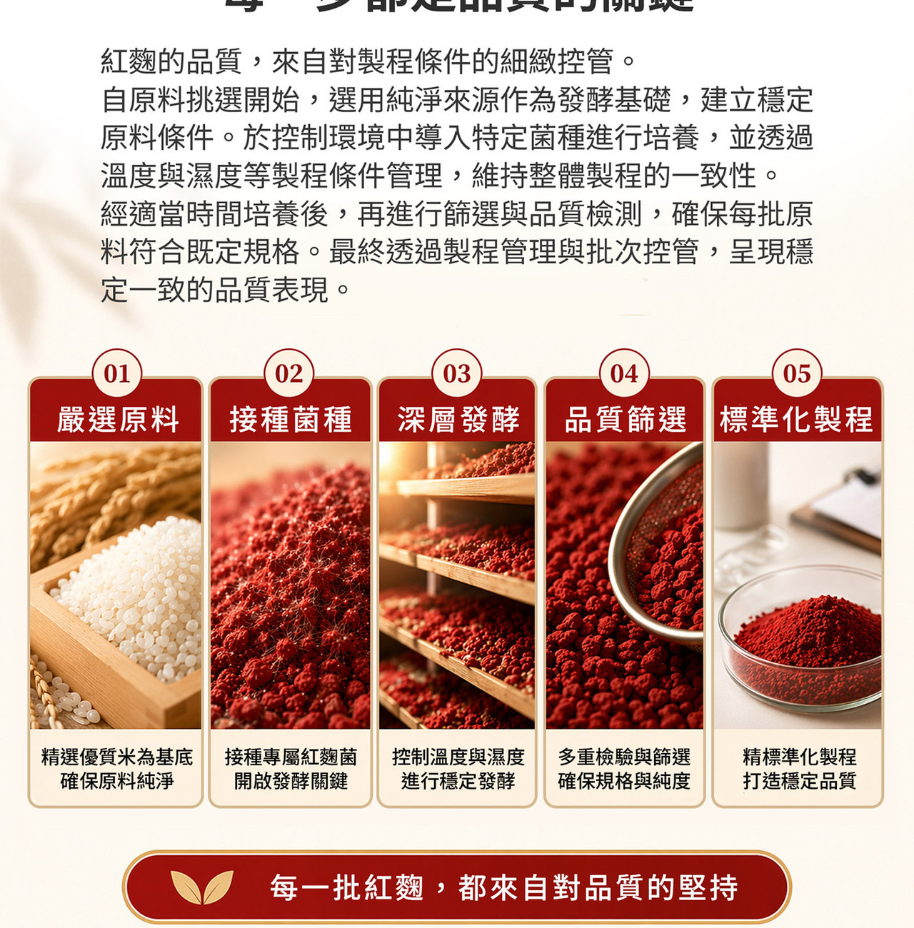 紅麴發酵與萃取過程示意圖，呈現原料來源與製程流程