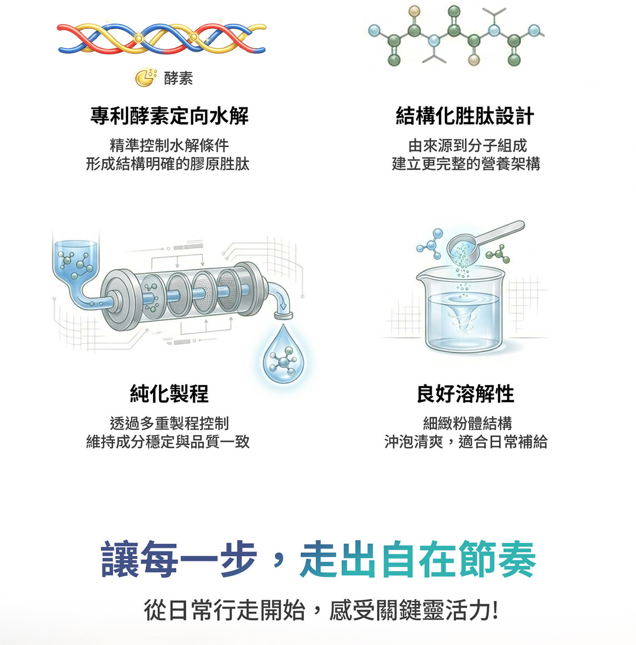 固膠原膠原胜肽整體視覺｜結構設計營養補給概念