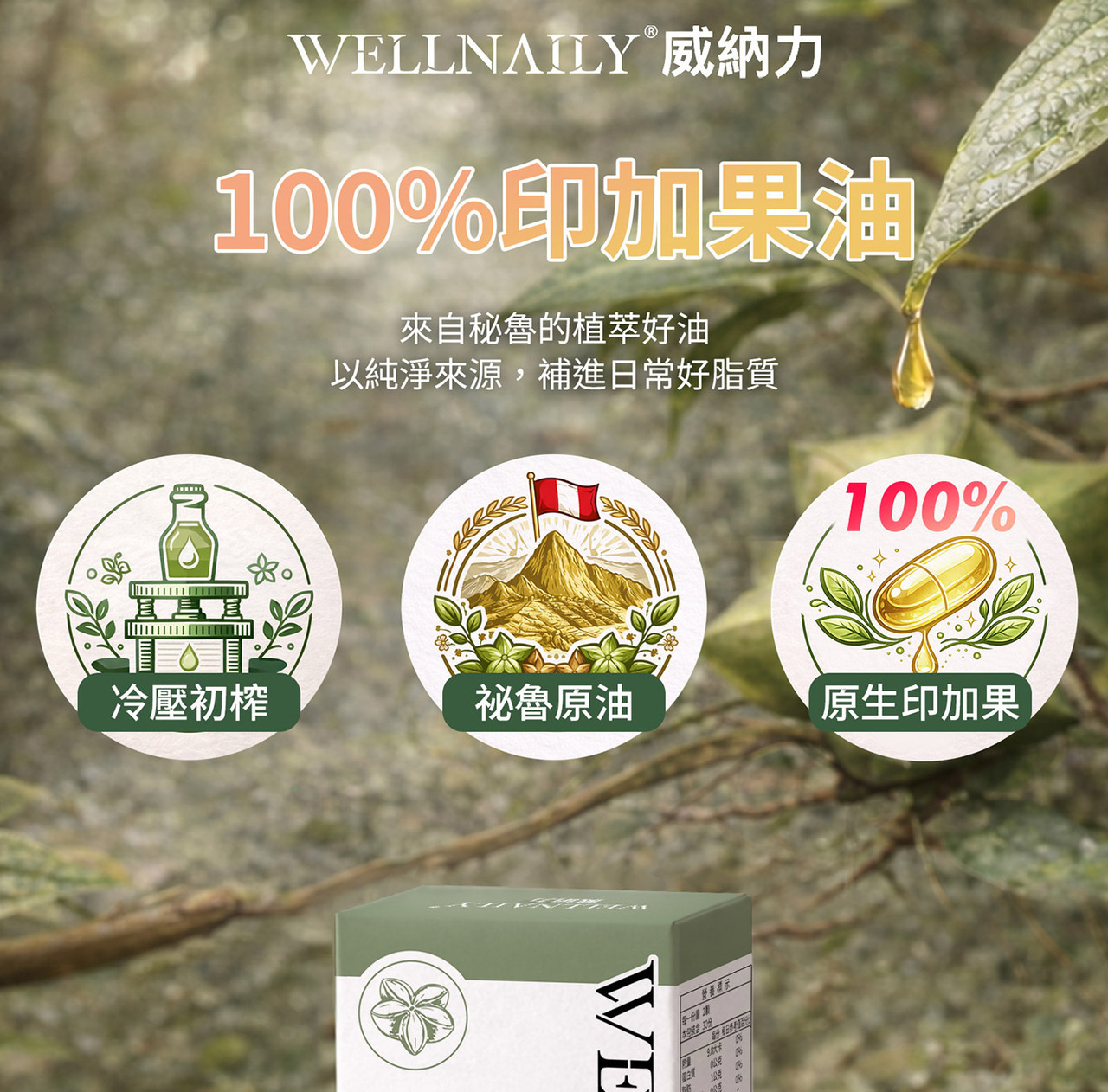 印加果油膠囊產品外盒展示 WELLNAILY 威納力