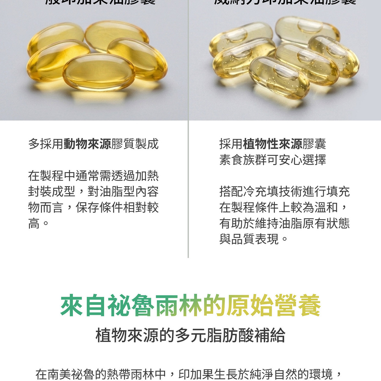 印加果油植物性 Omega 3 6 9 成分示意圖