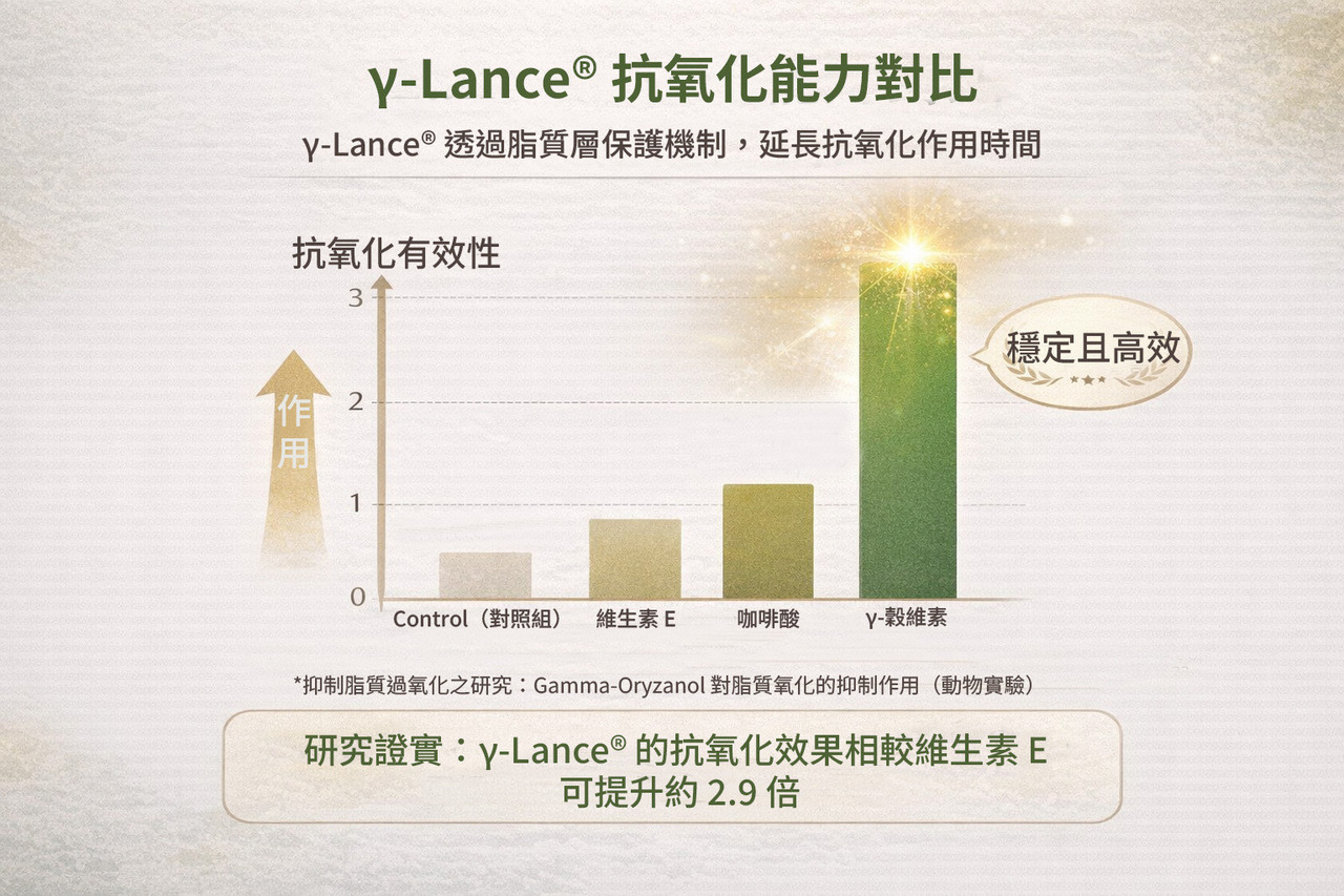 γ-Lance 抗氧化能力對比