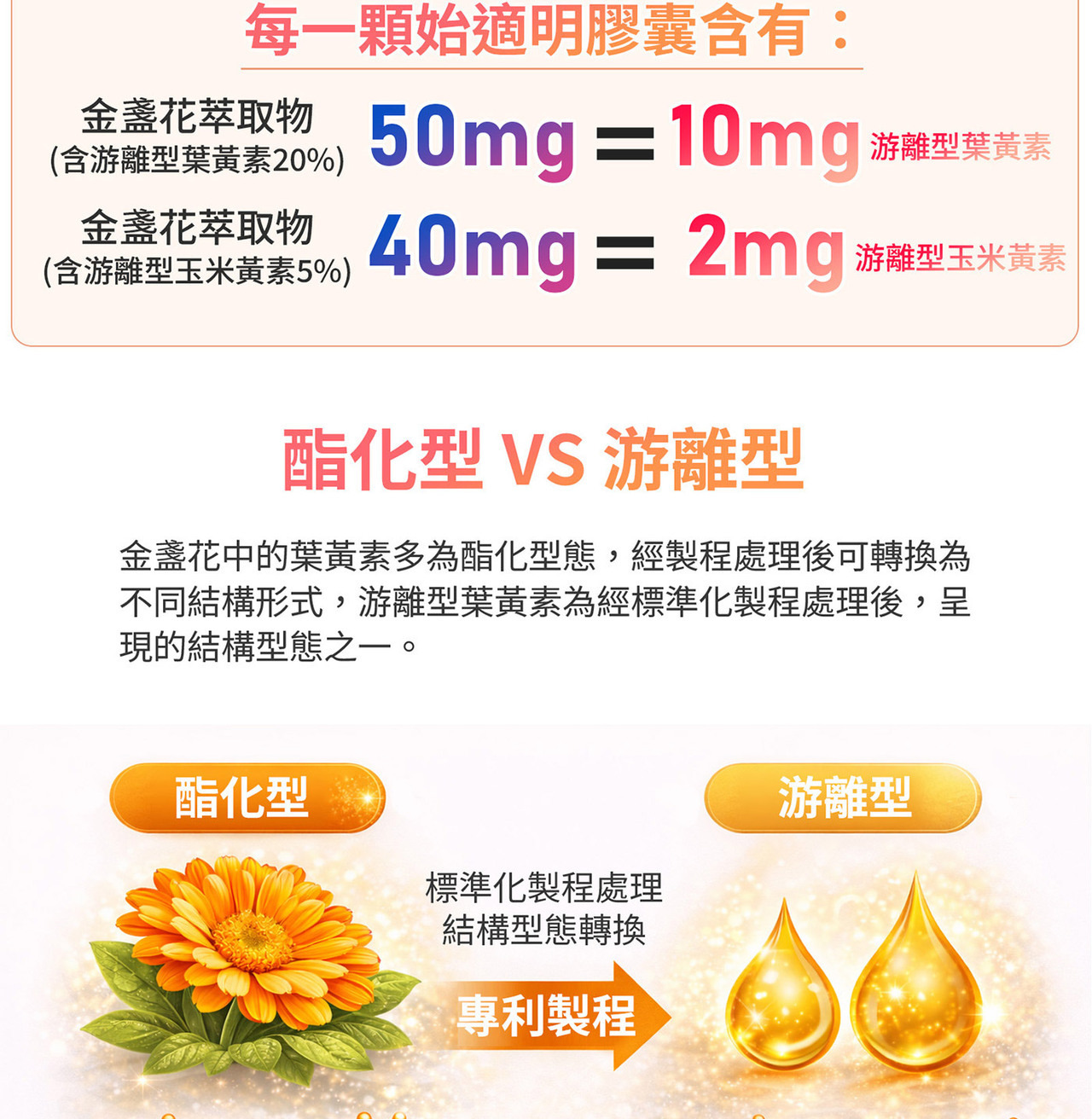 金盞花萃取物葉黃素與玉米黃素來源