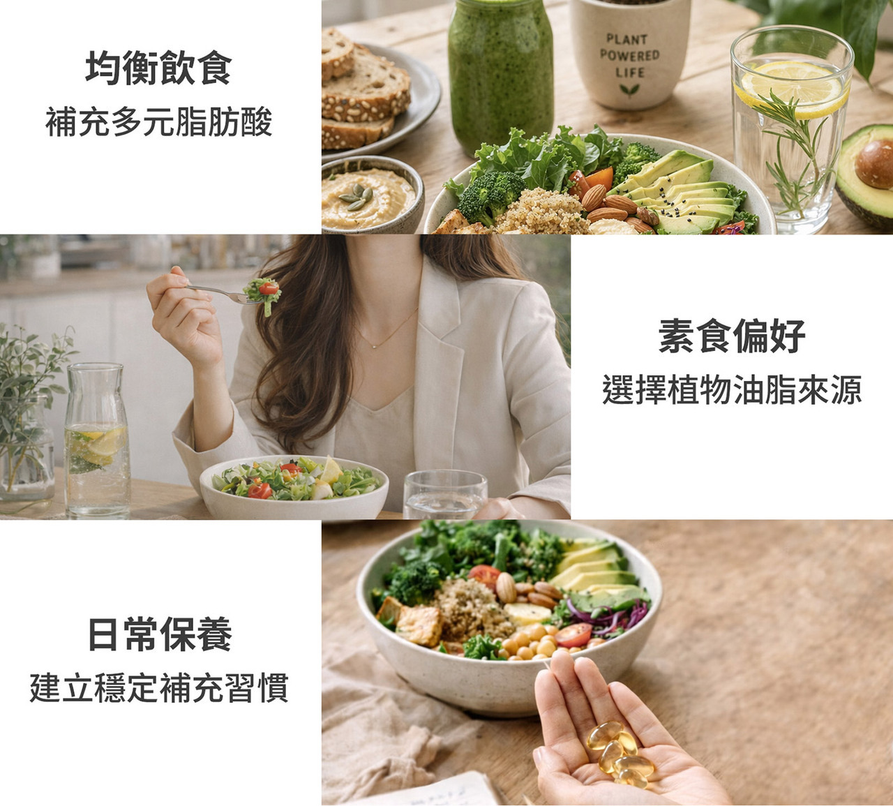 WELLNAILY 威納力印加果油產品整體形象圖