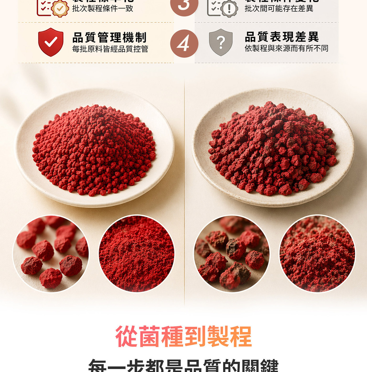 紅麴發酵與萃取過程示意圖，呈現原料來源與製程流程